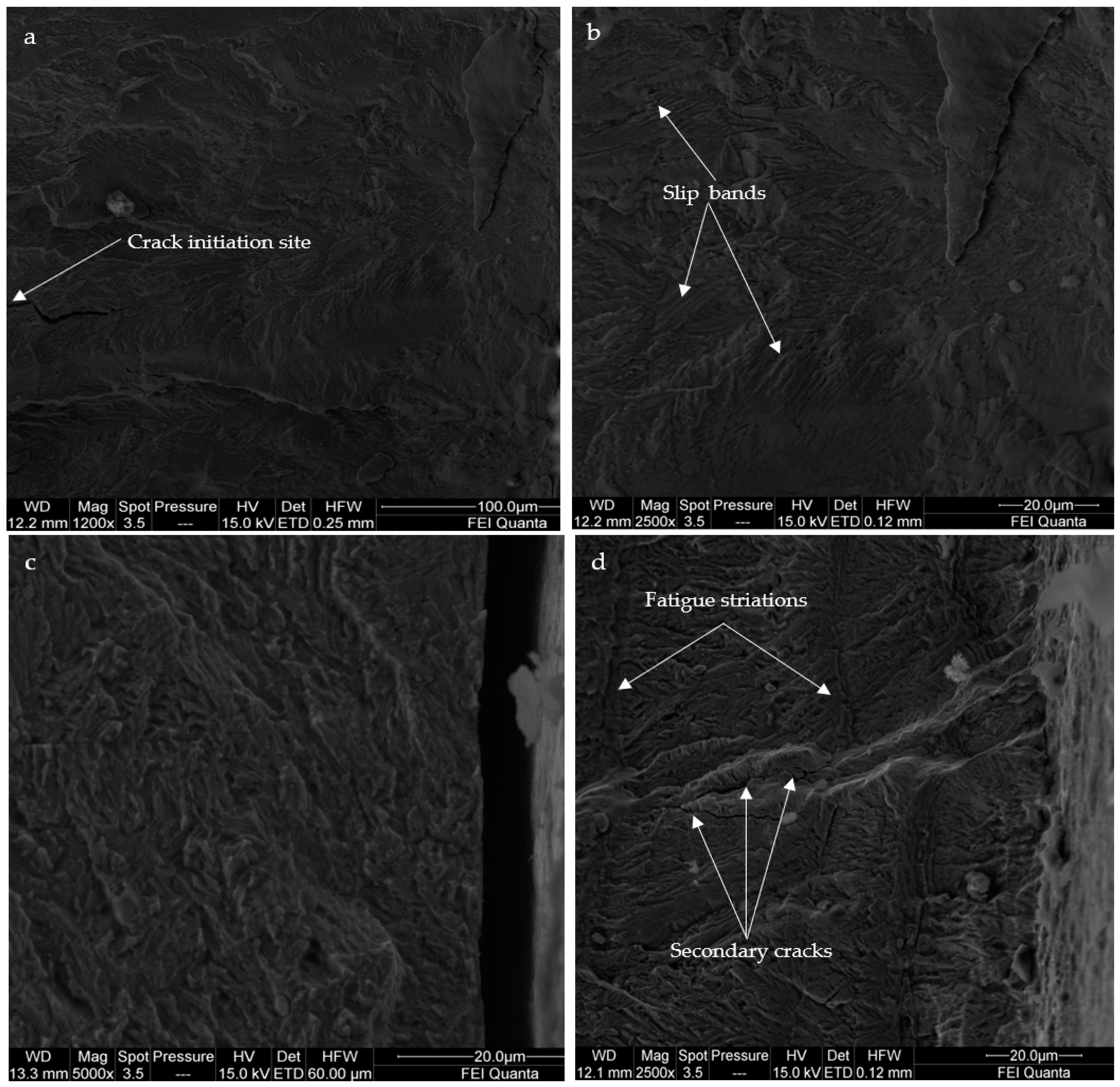 Applsci 15 01938 g018