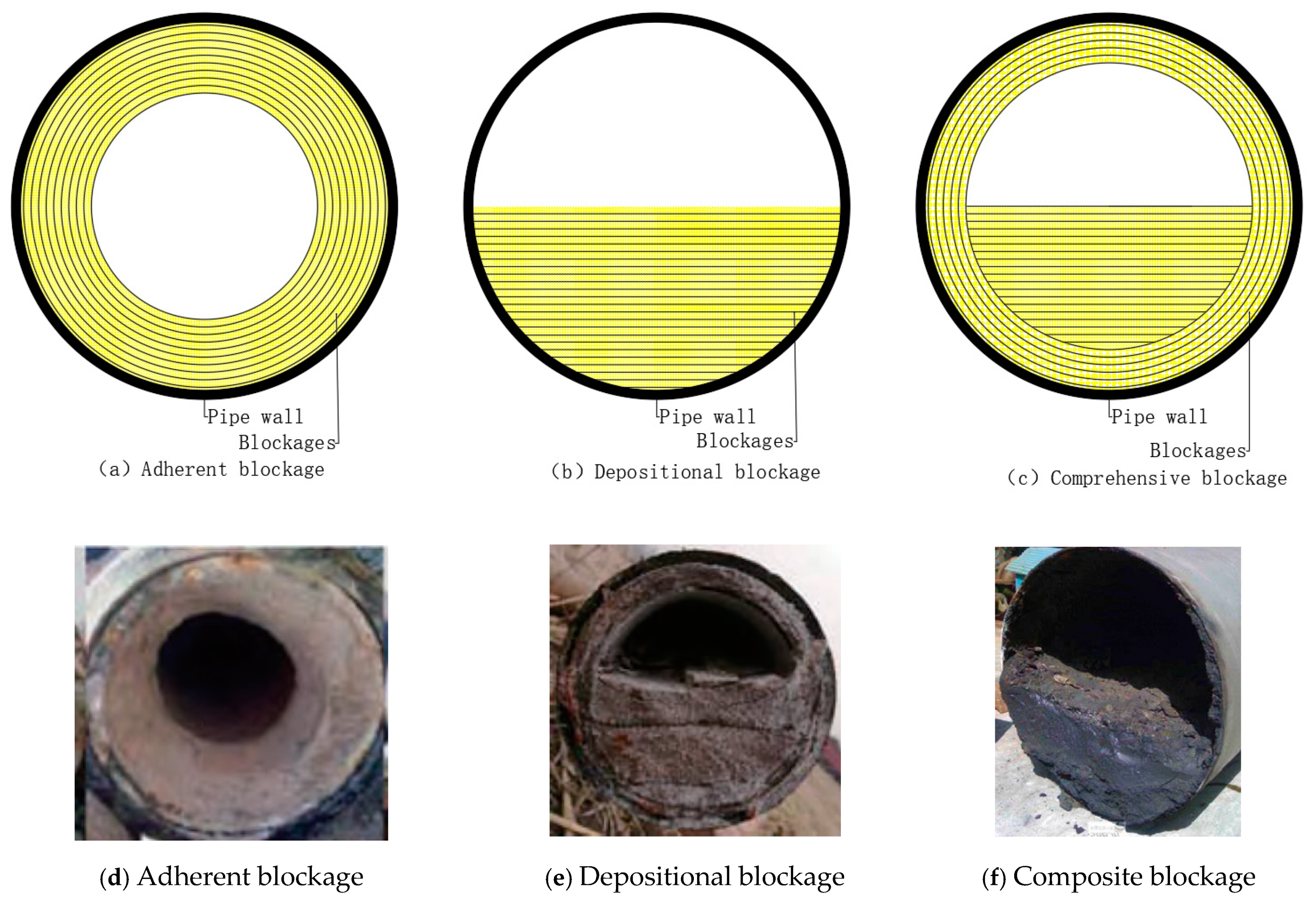 Applsci 15 01957 g004 Applsci 15 01957 g004