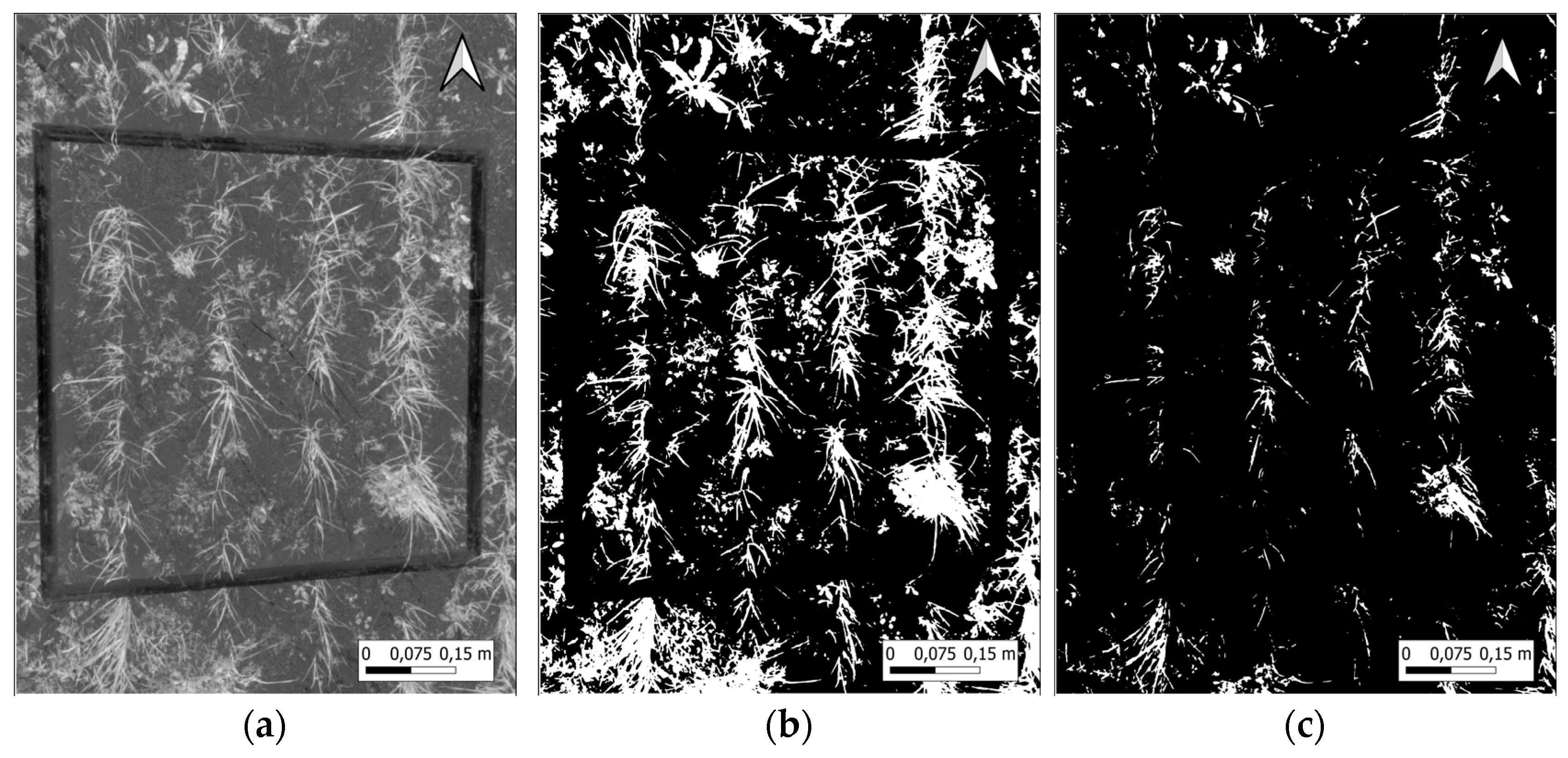 Applsci 15 01979 g003