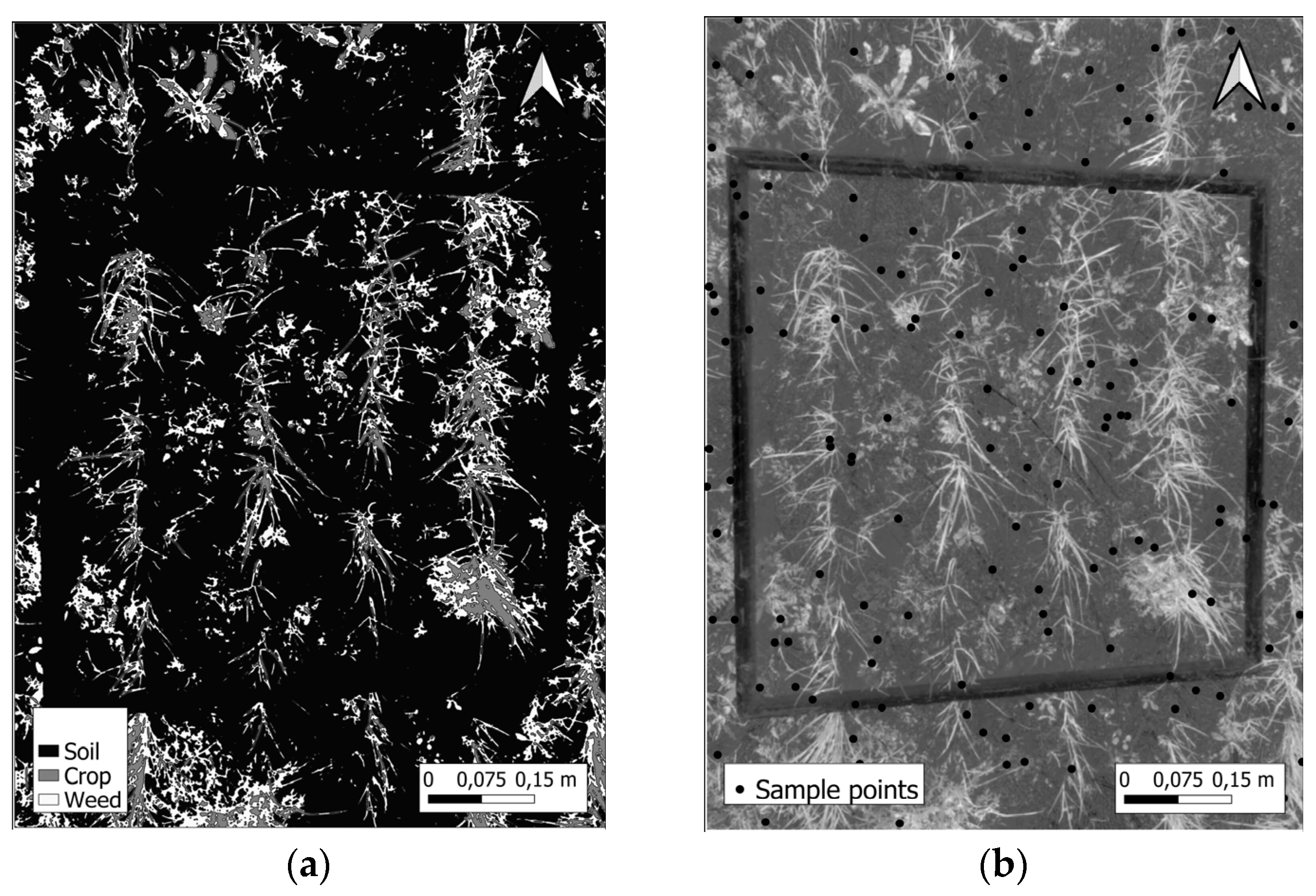 Applsci 15 01979 g004