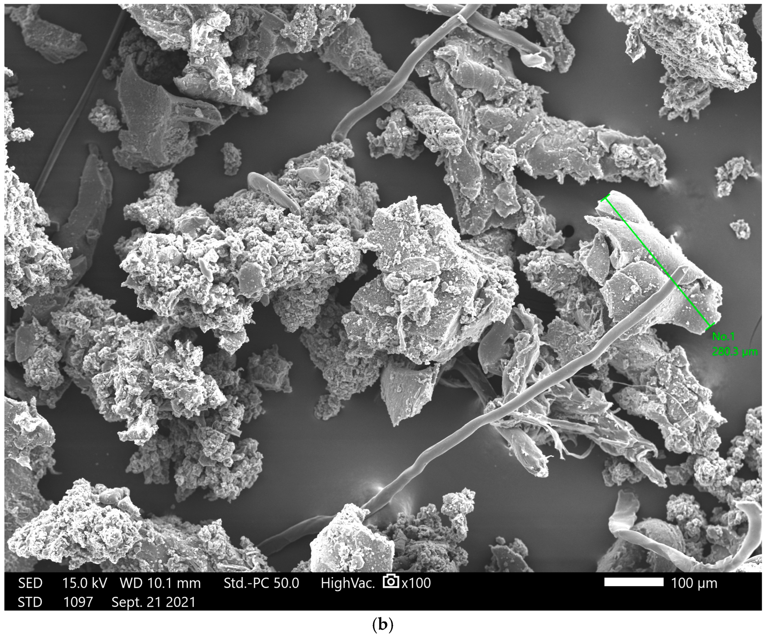 Applsci 15 01983 g002b