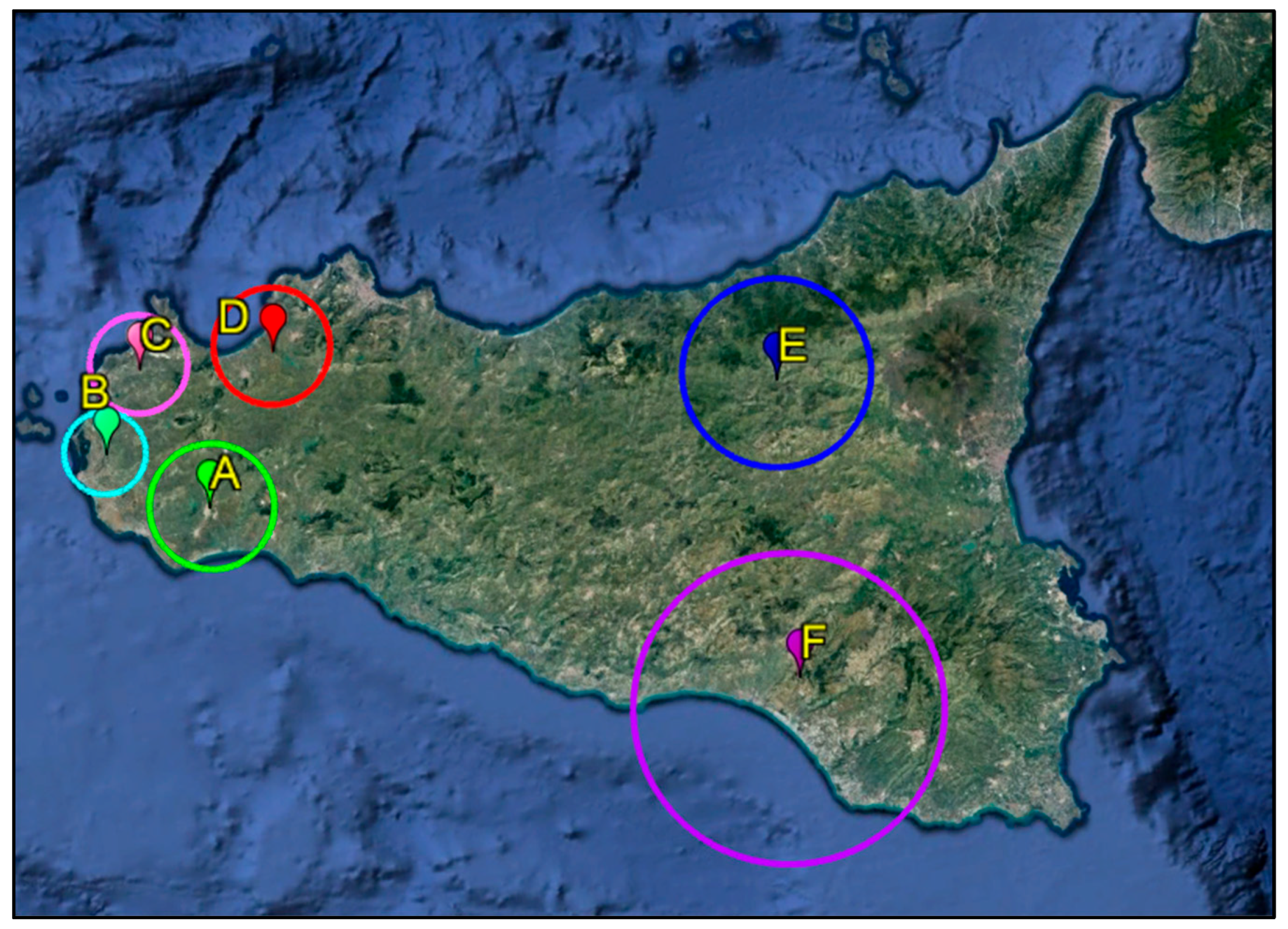 Applsci 15 01987 g002