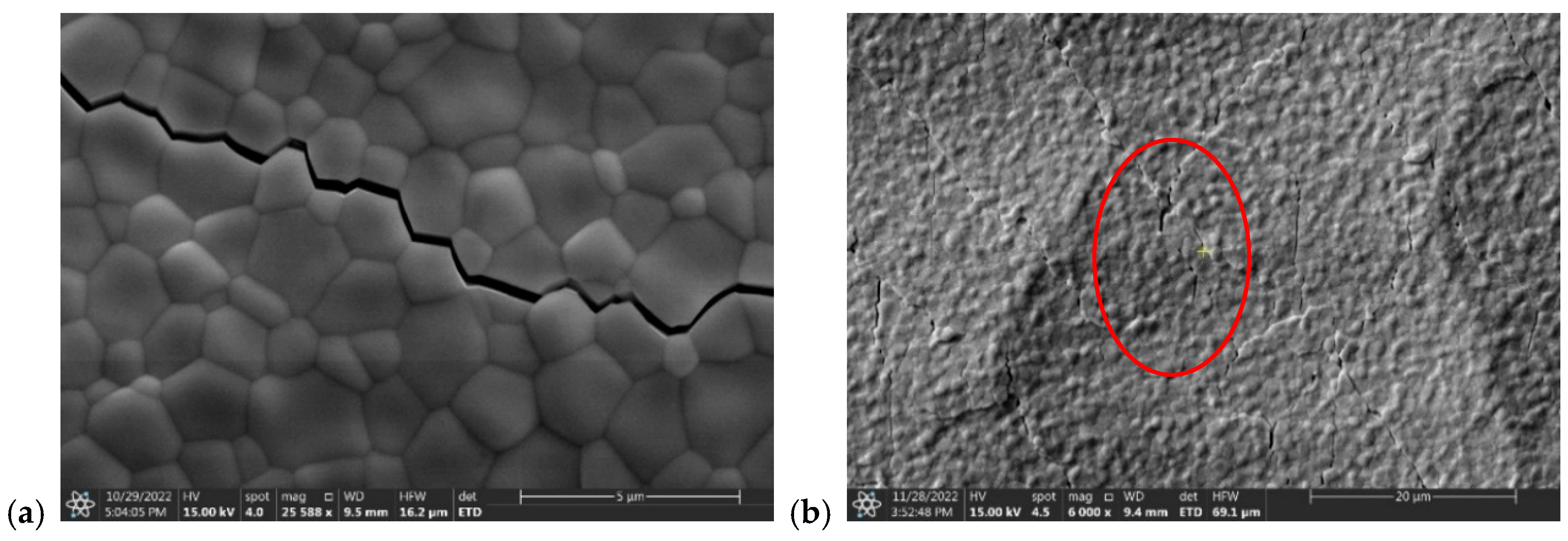 Applsci 15 01991 g011