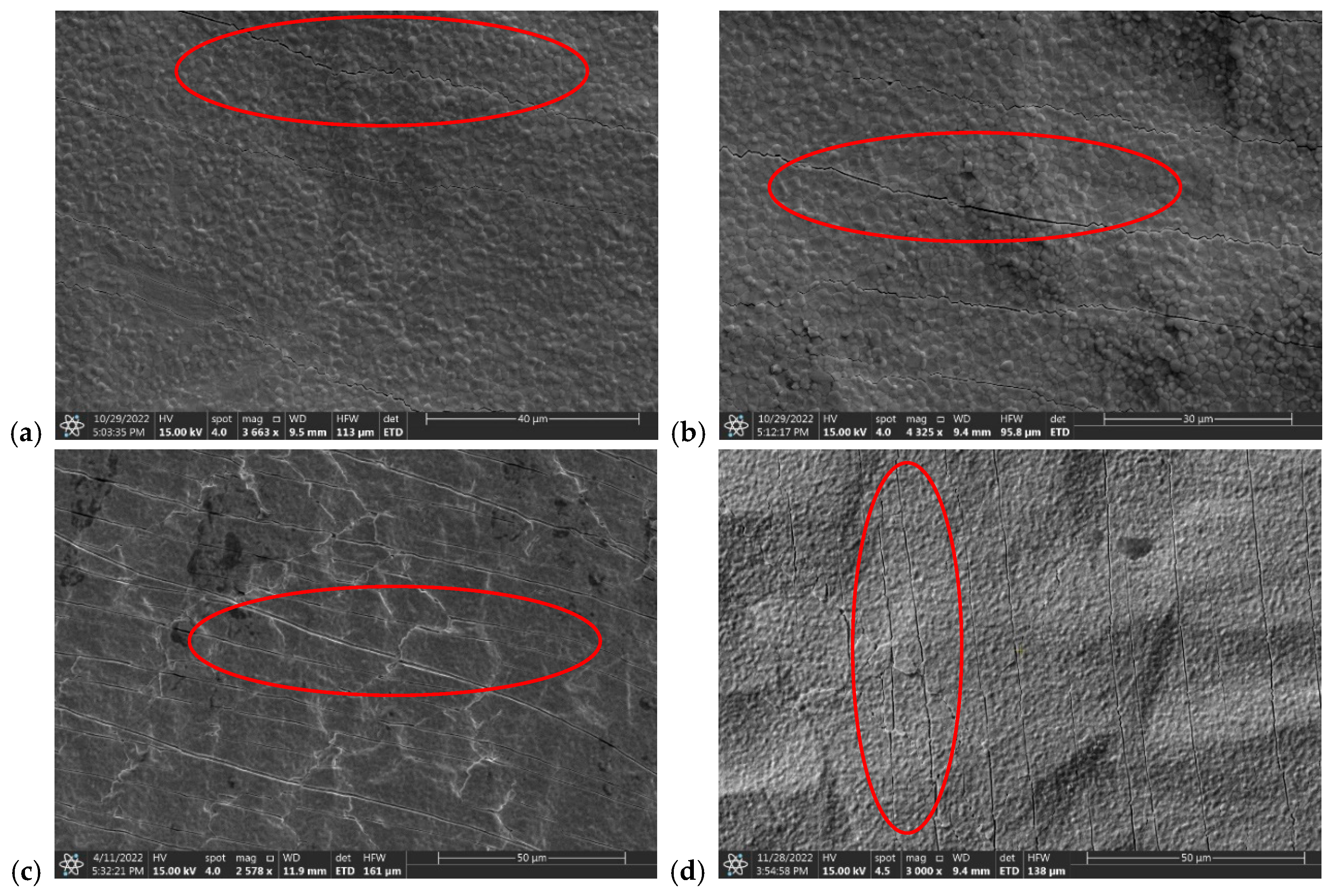 Applsci 15 01991 g012