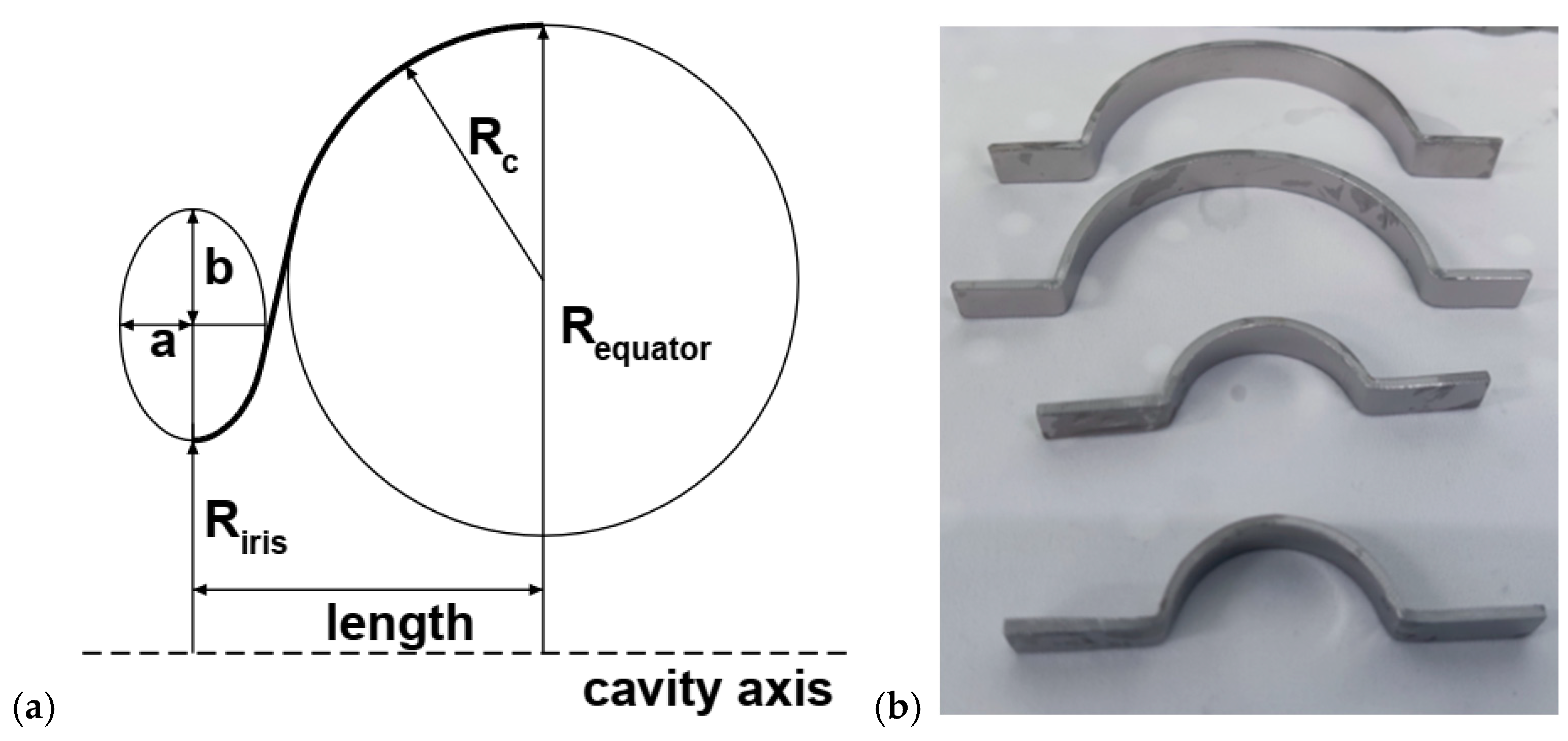 Applsci 15 01991 g013