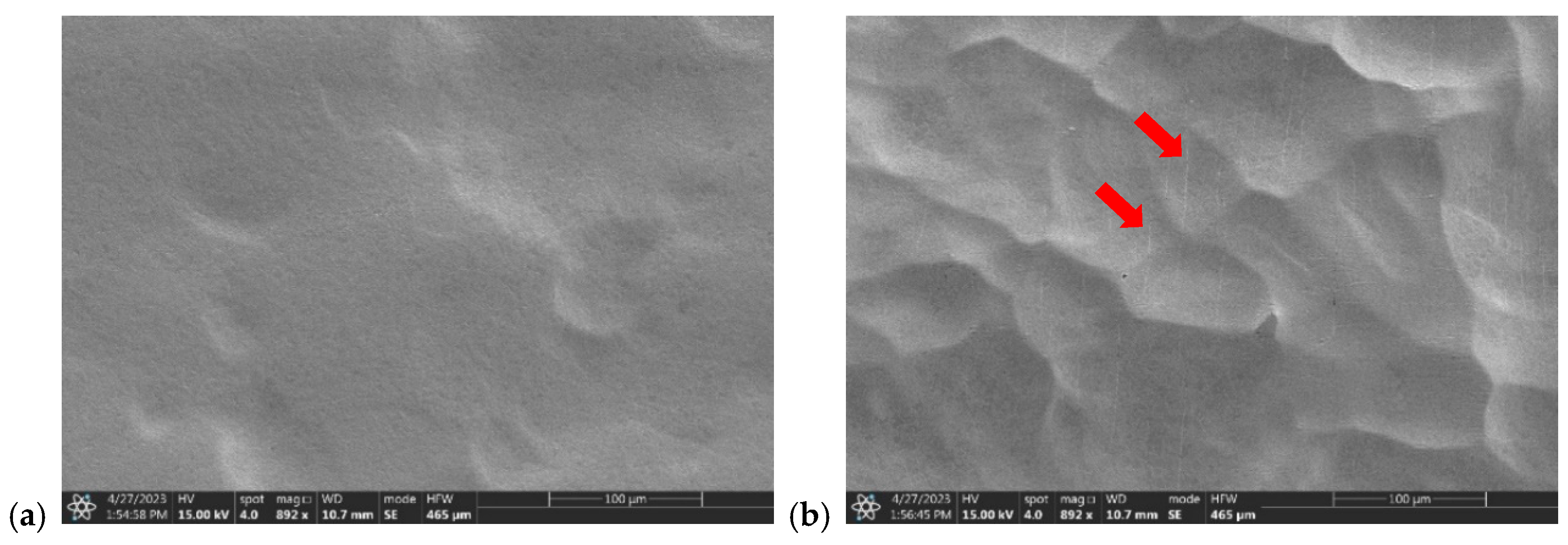 Applsci 15 01991 g016