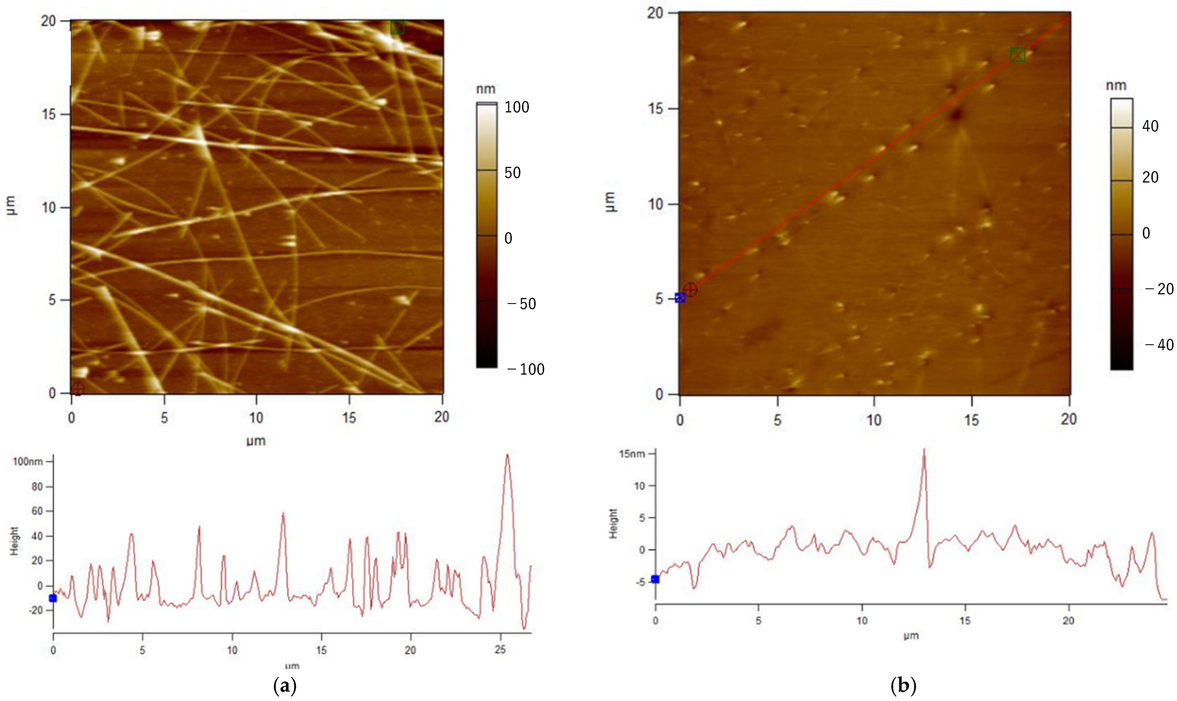 Applsci 15 01997 g005