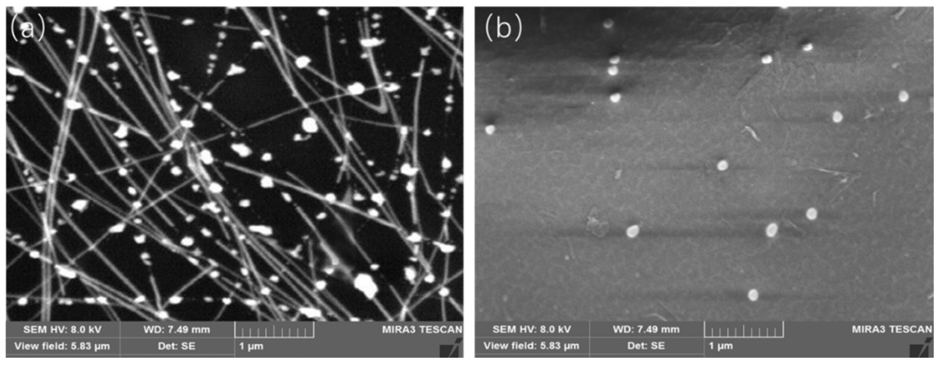 Applsci 15 01997 g006