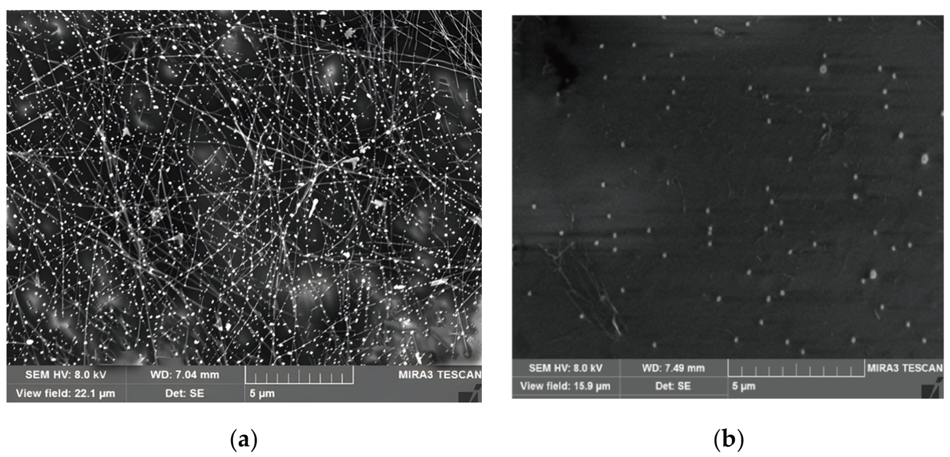 Applsci 15 01997 g011