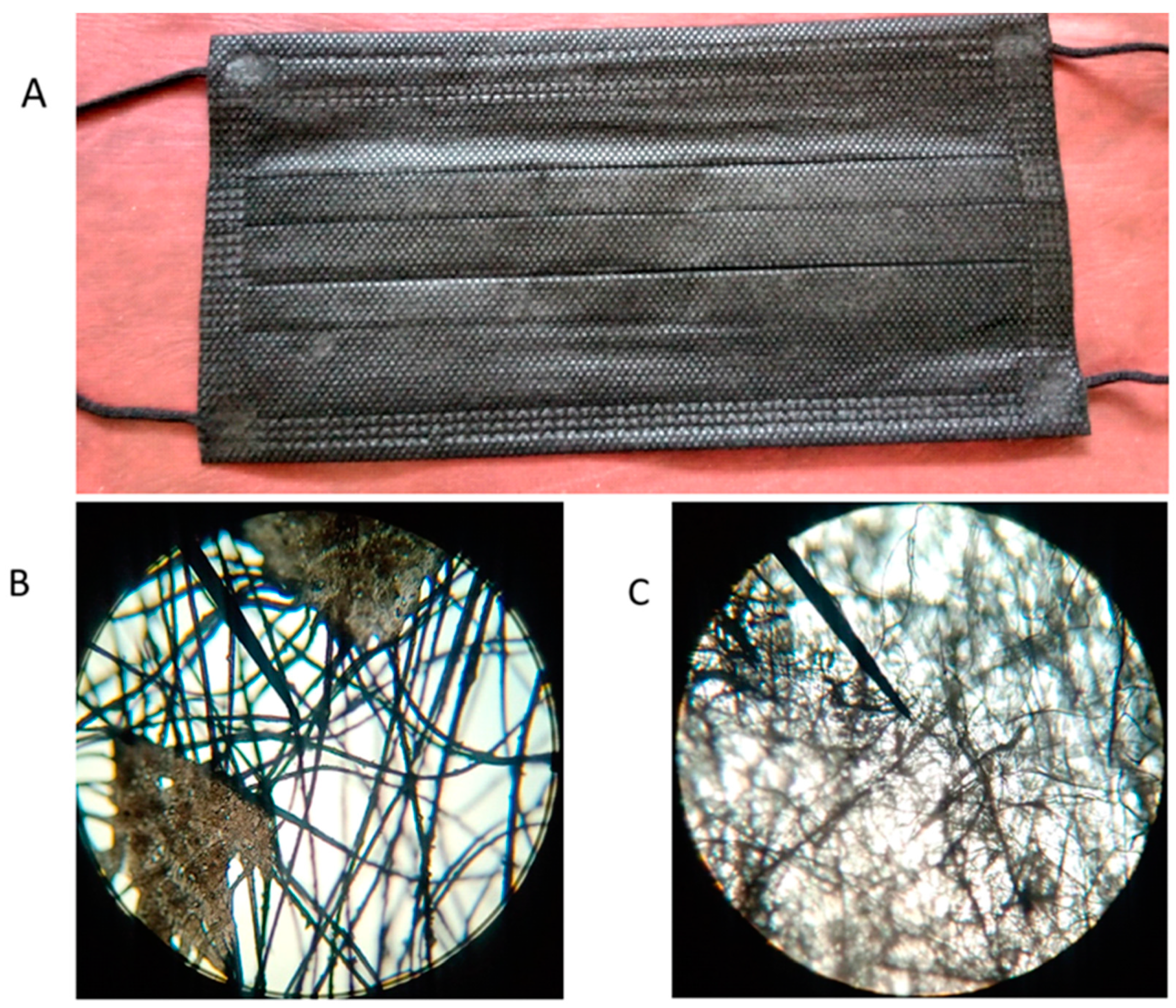 Applsci 15 02010 g002