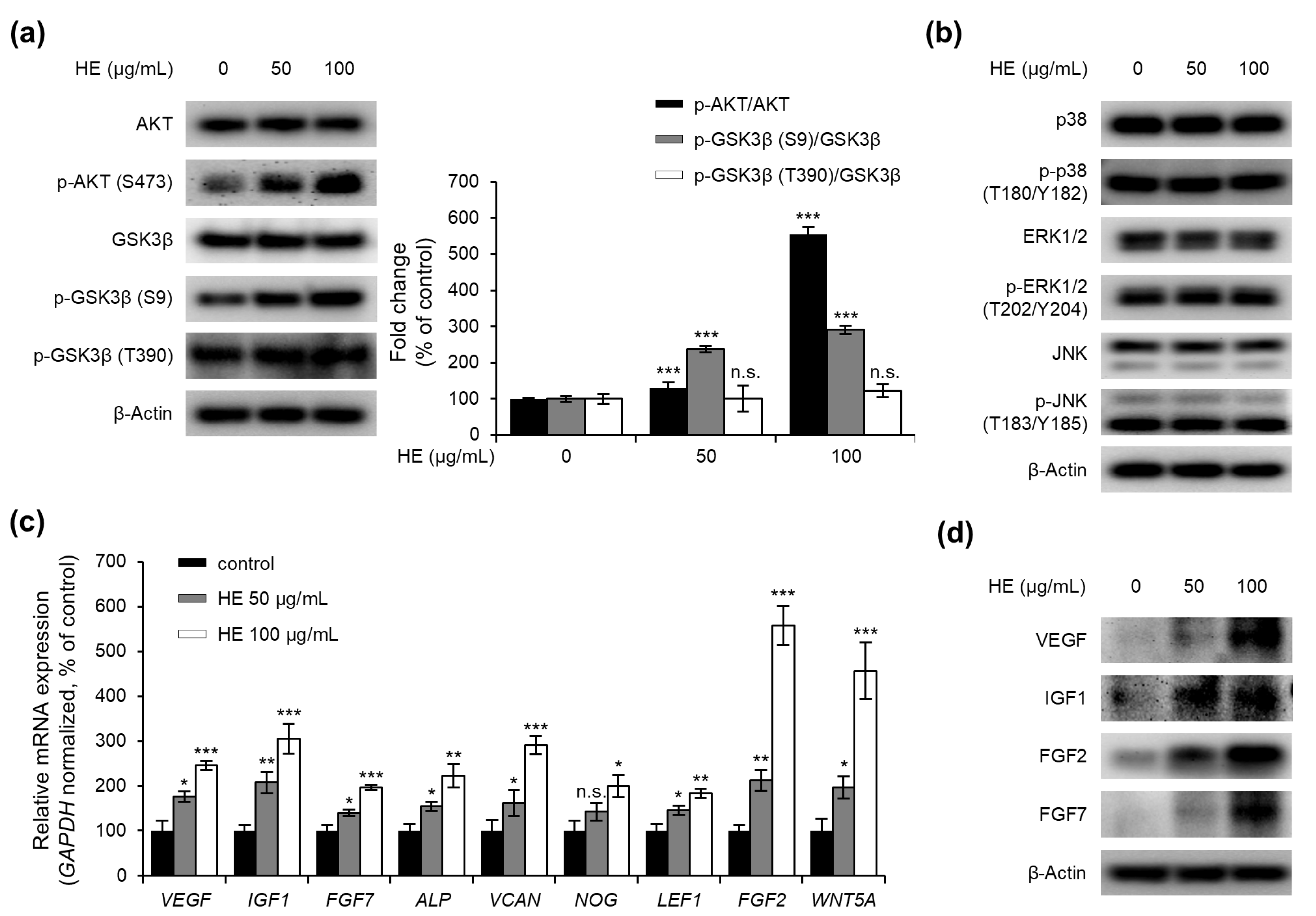 Applsci 15 02015 g004 Applsci 15 02015 g004