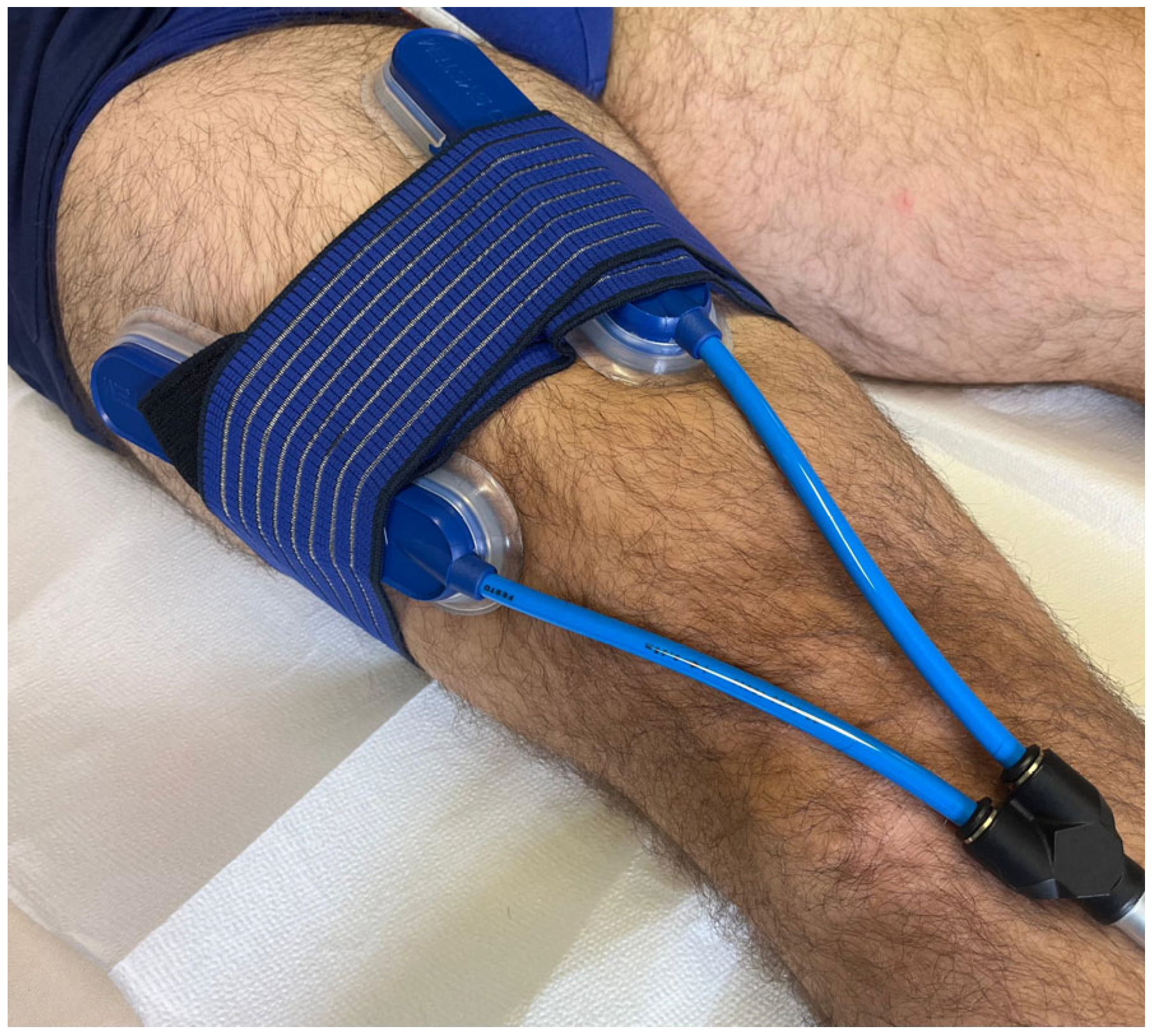 Applsci 15 02022 g001