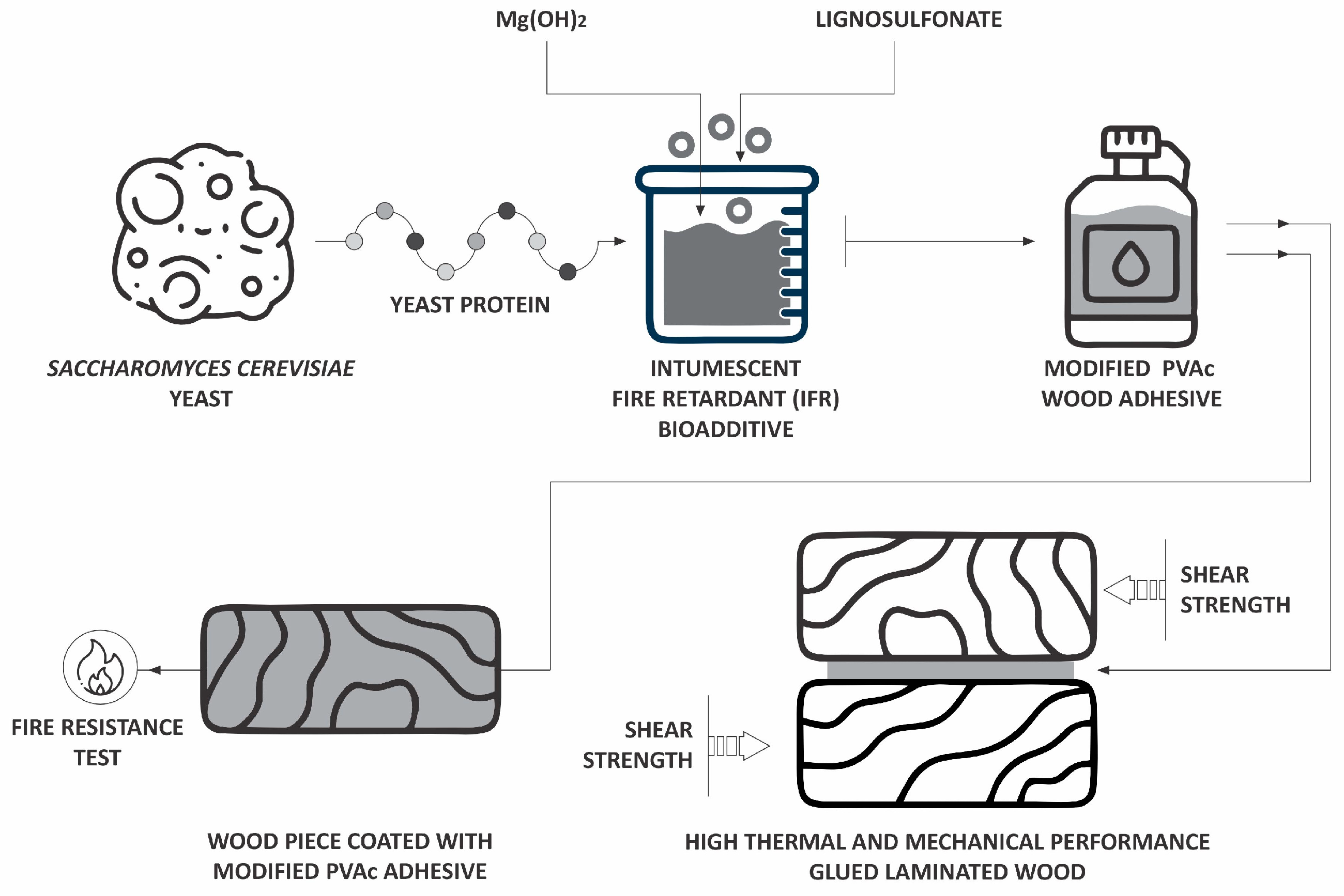 Applsci 15 02051 g001