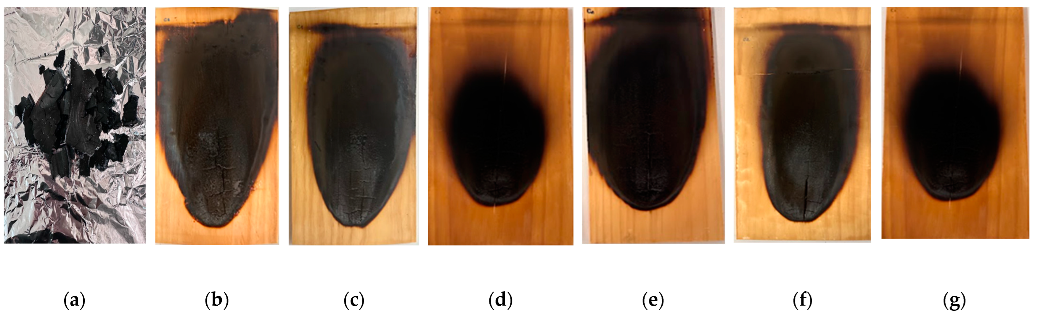 Applsci 15 02051 g007