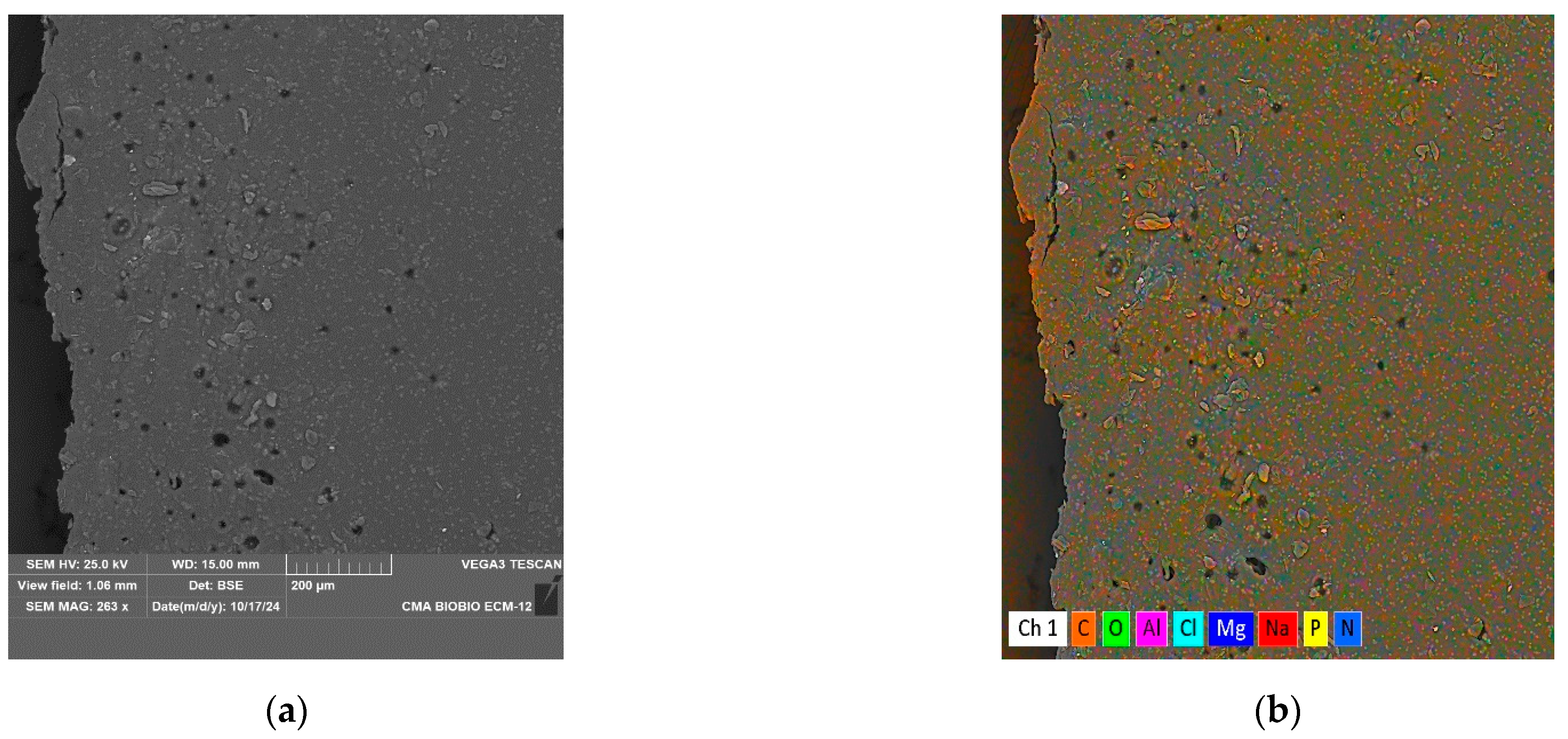 Applsci 15 02051 g009a