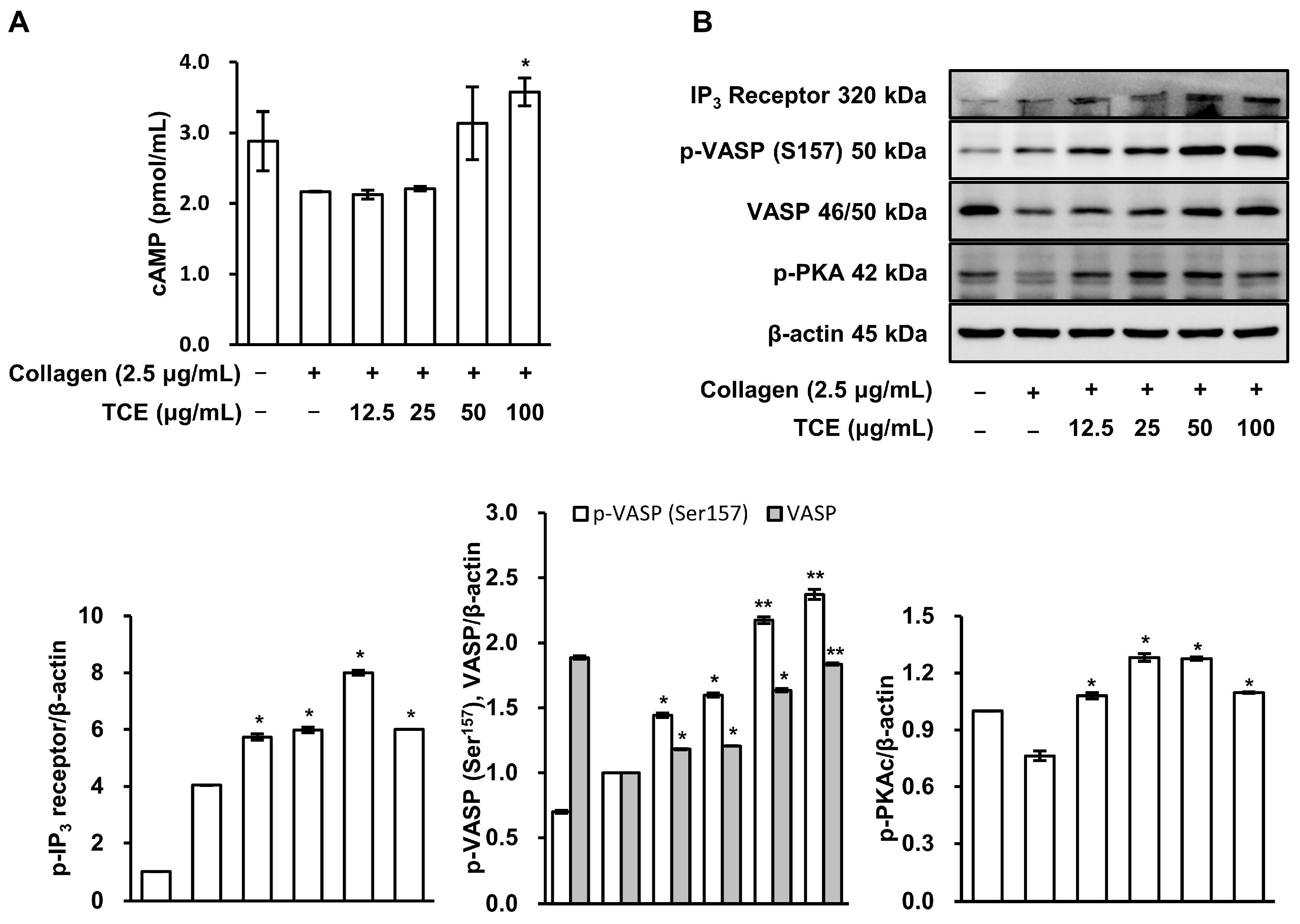 Applsci 15 02053 g003