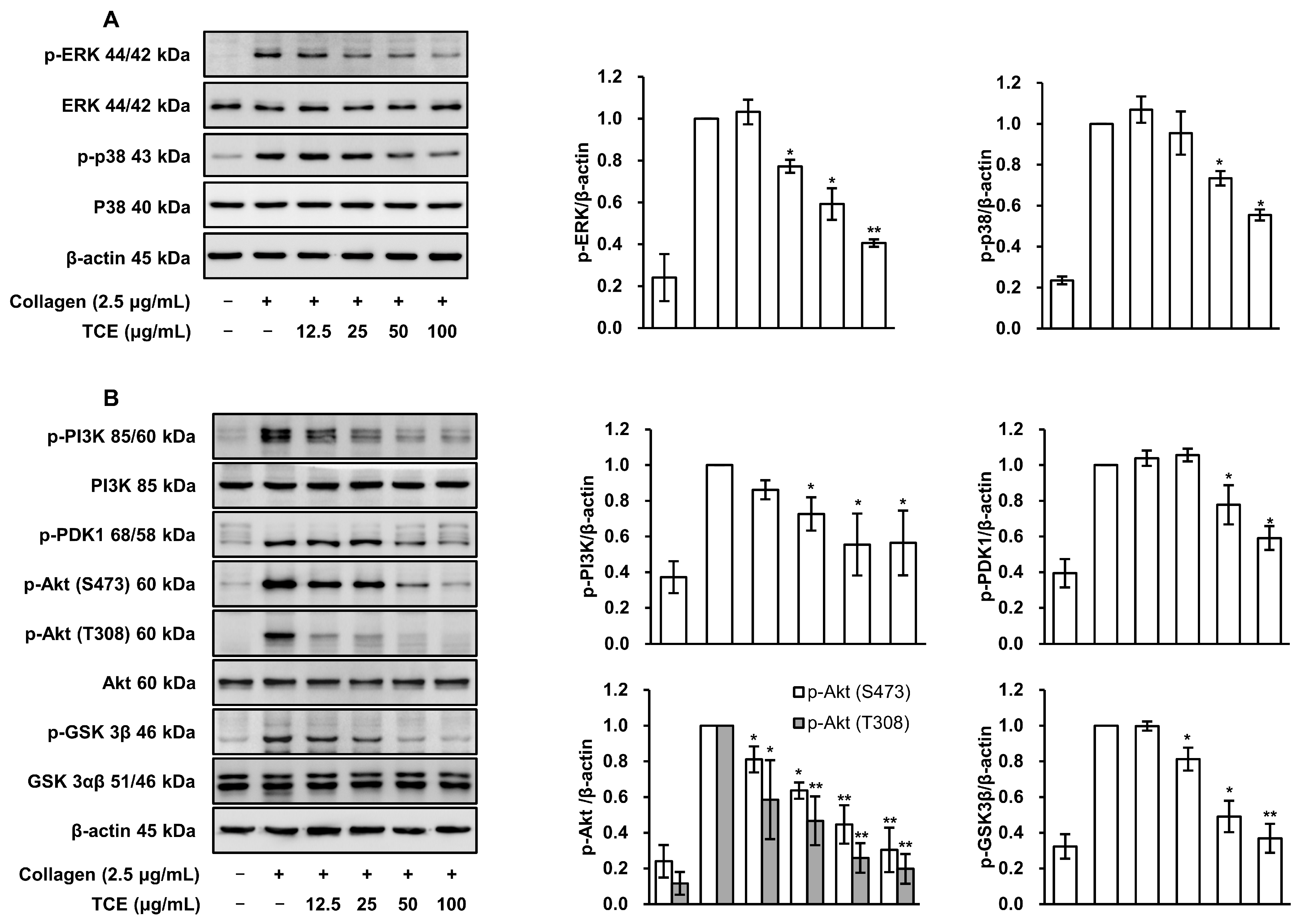 Applsci 15 02053 g006