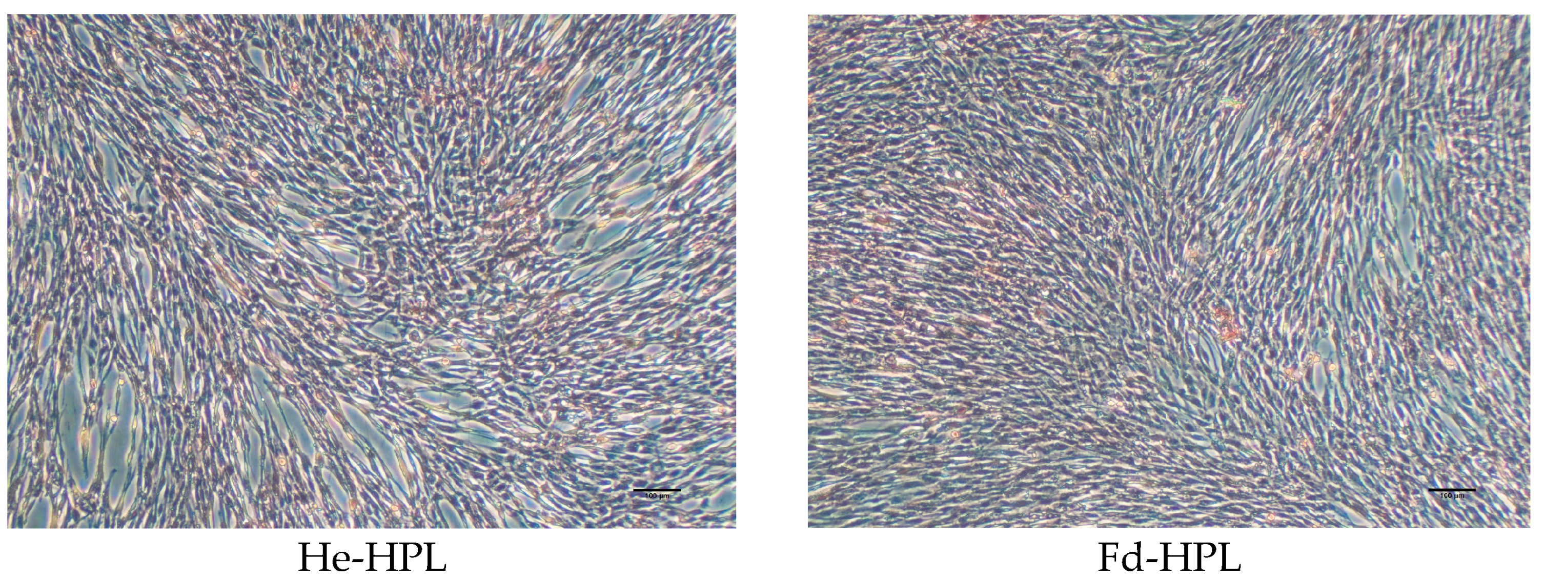 Applsci 15 02074 g004