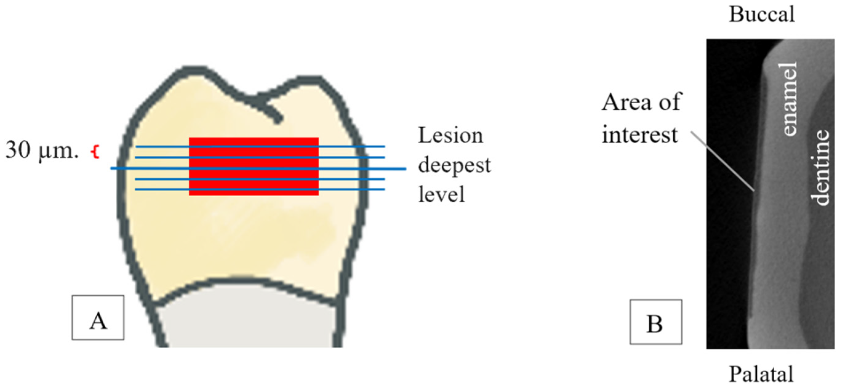 Applsci 15 02077 g002