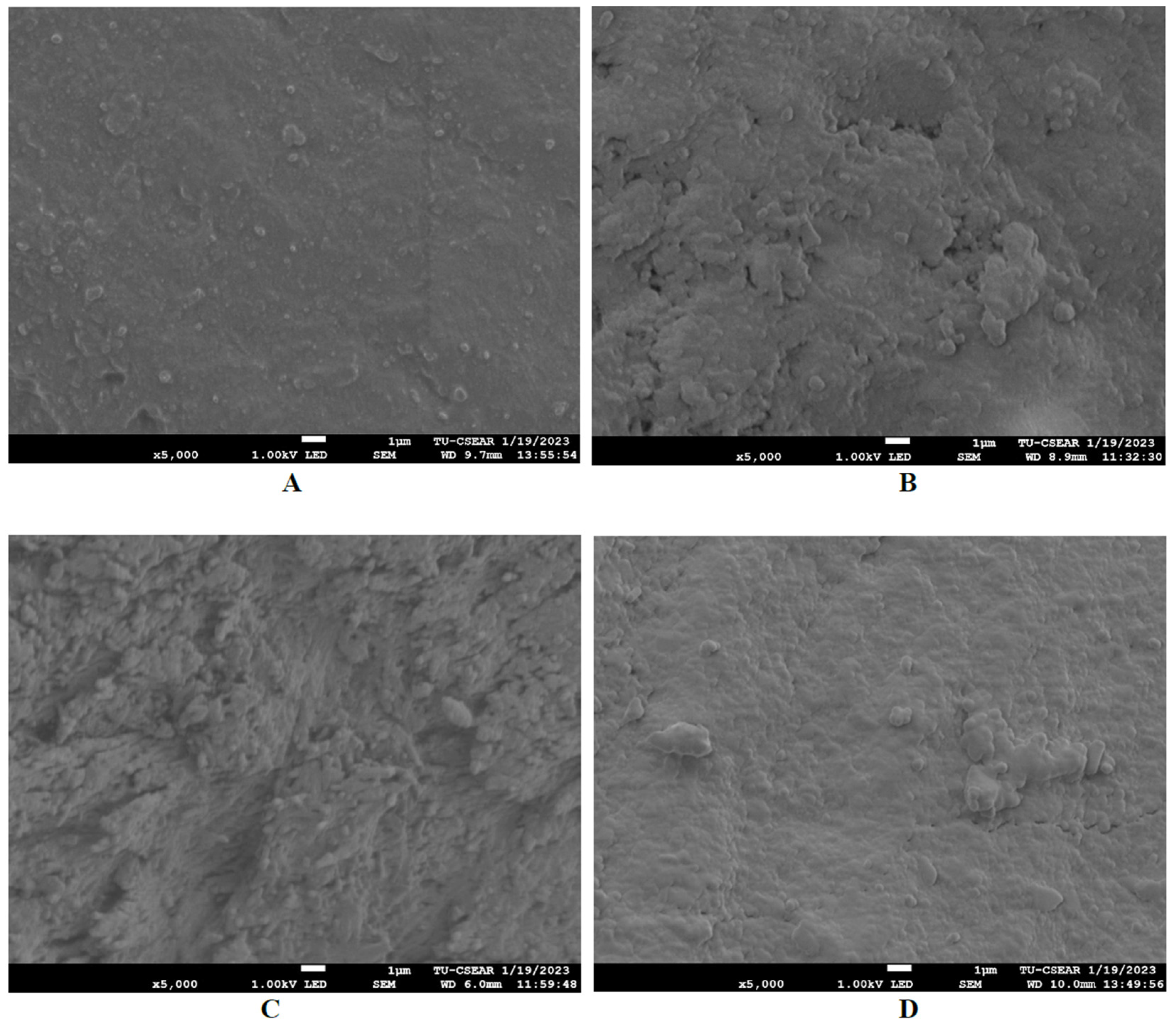 Applsci 15 02077 g005