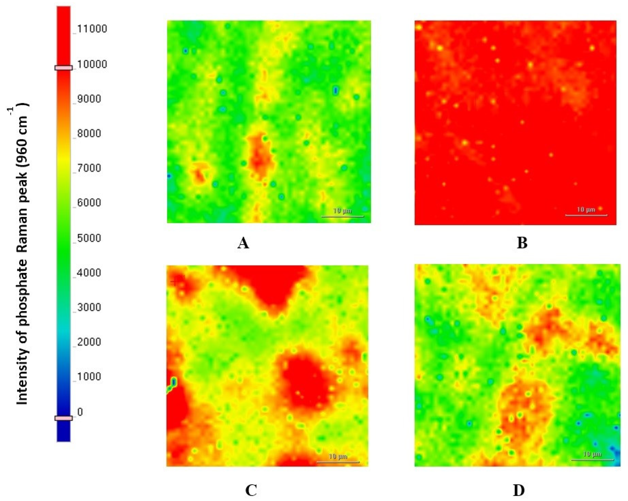Applsci 15 02077 g006