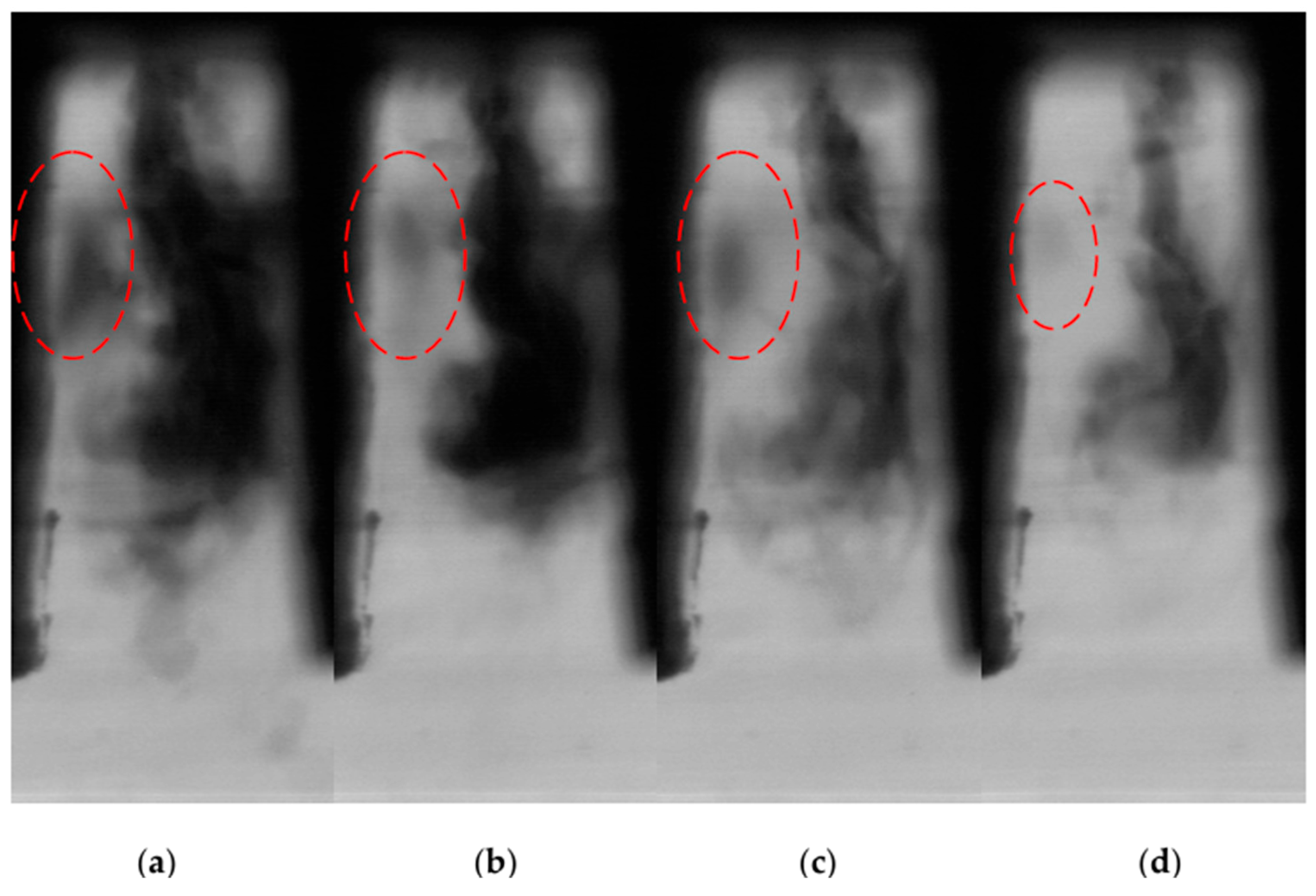 Advances in the Application of Intelligent Algorithms to the