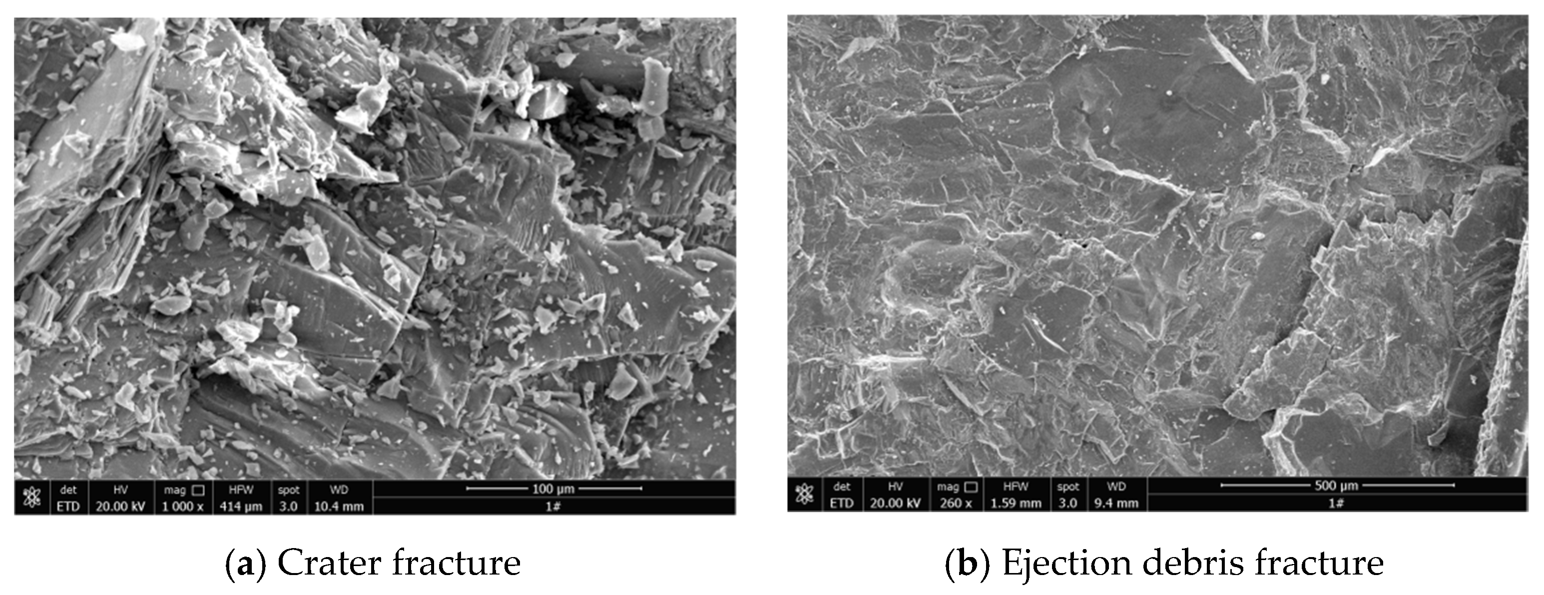 Applsci 15 02087 g008