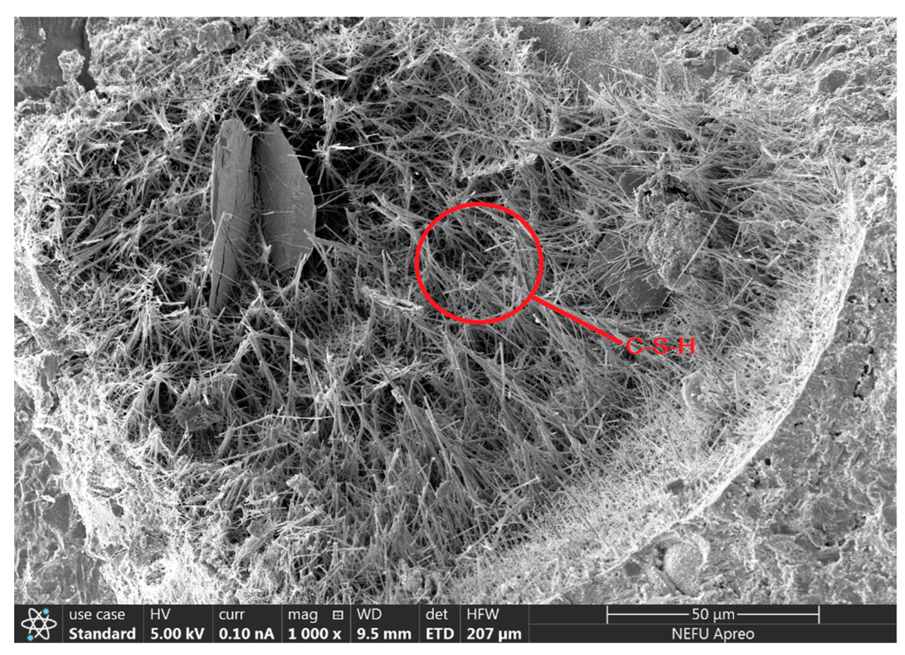 Applsci 15 02098 g009