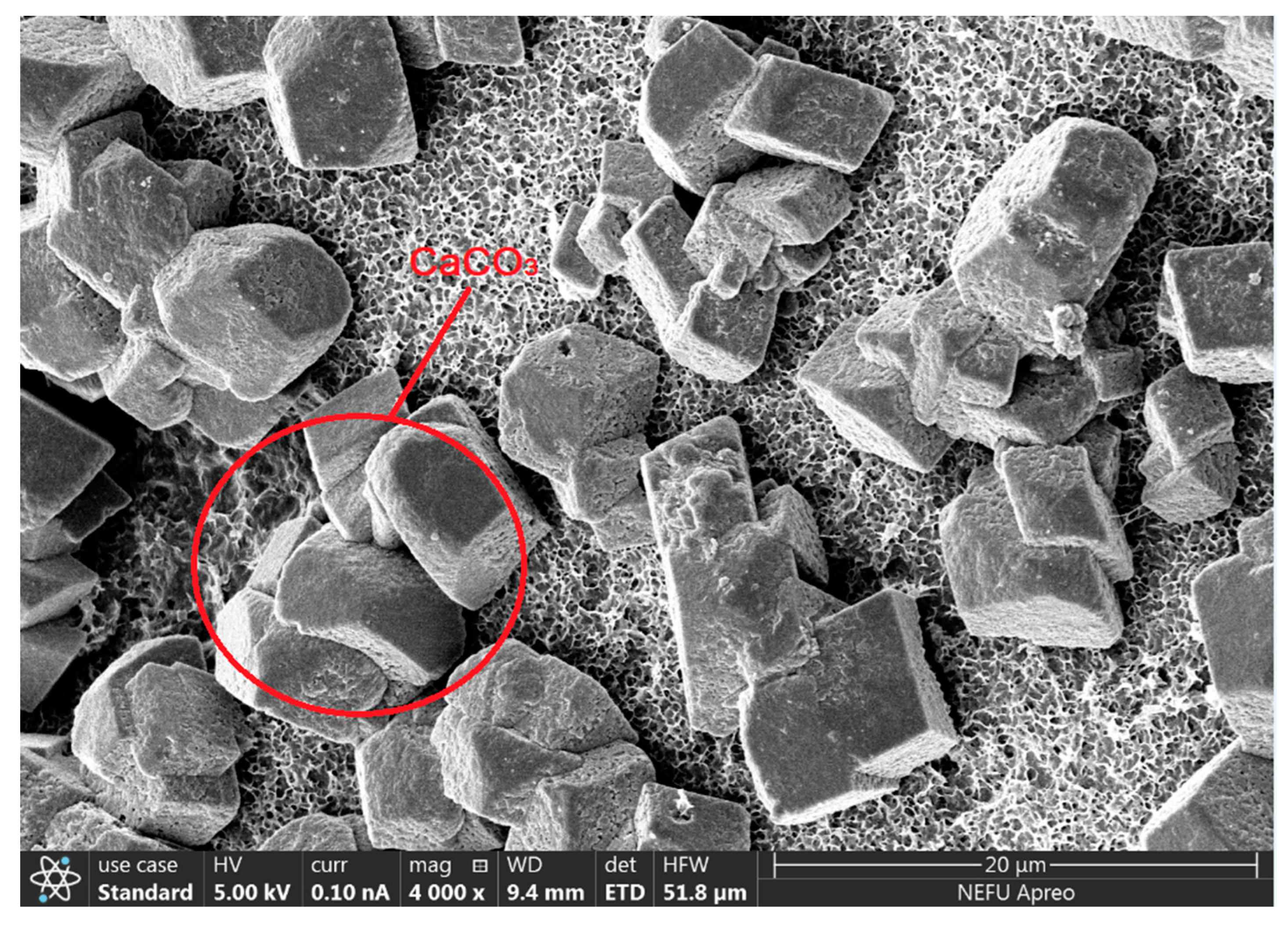 Applsci 15 02098 g010