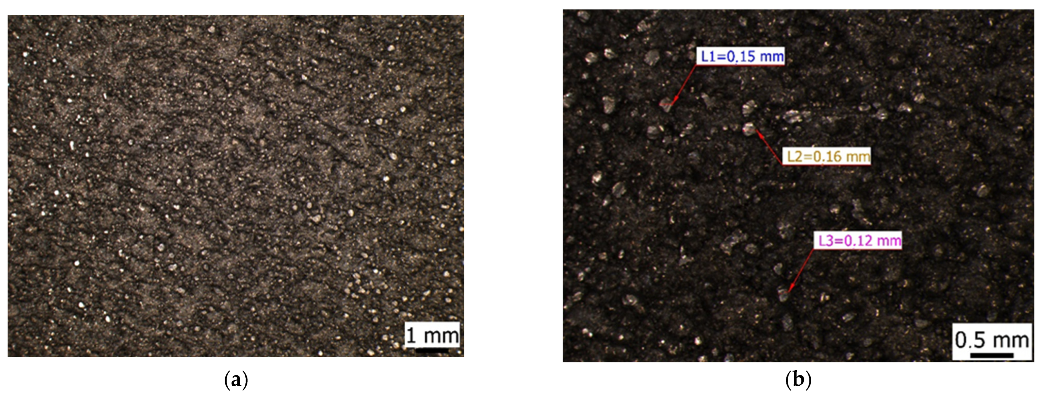 Applsci 15 02118 g007 Applsci 15 02118 g007