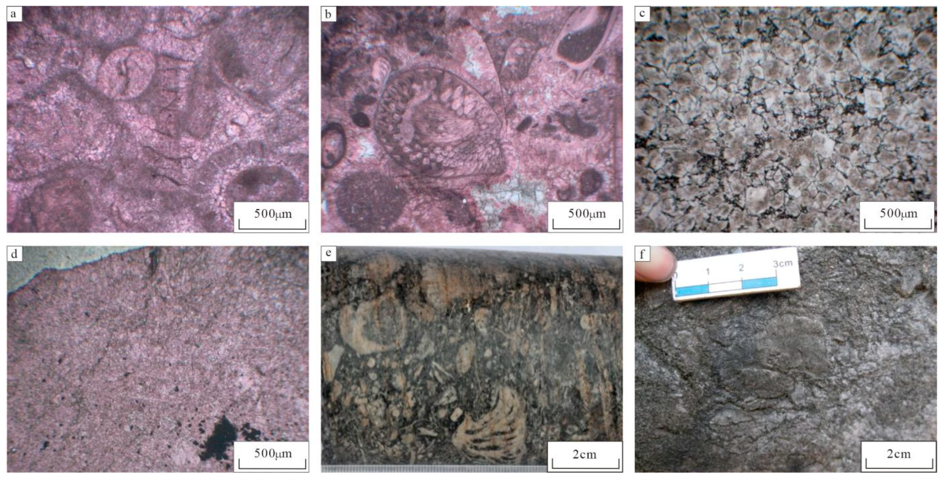 Applsci 15 02128 g002