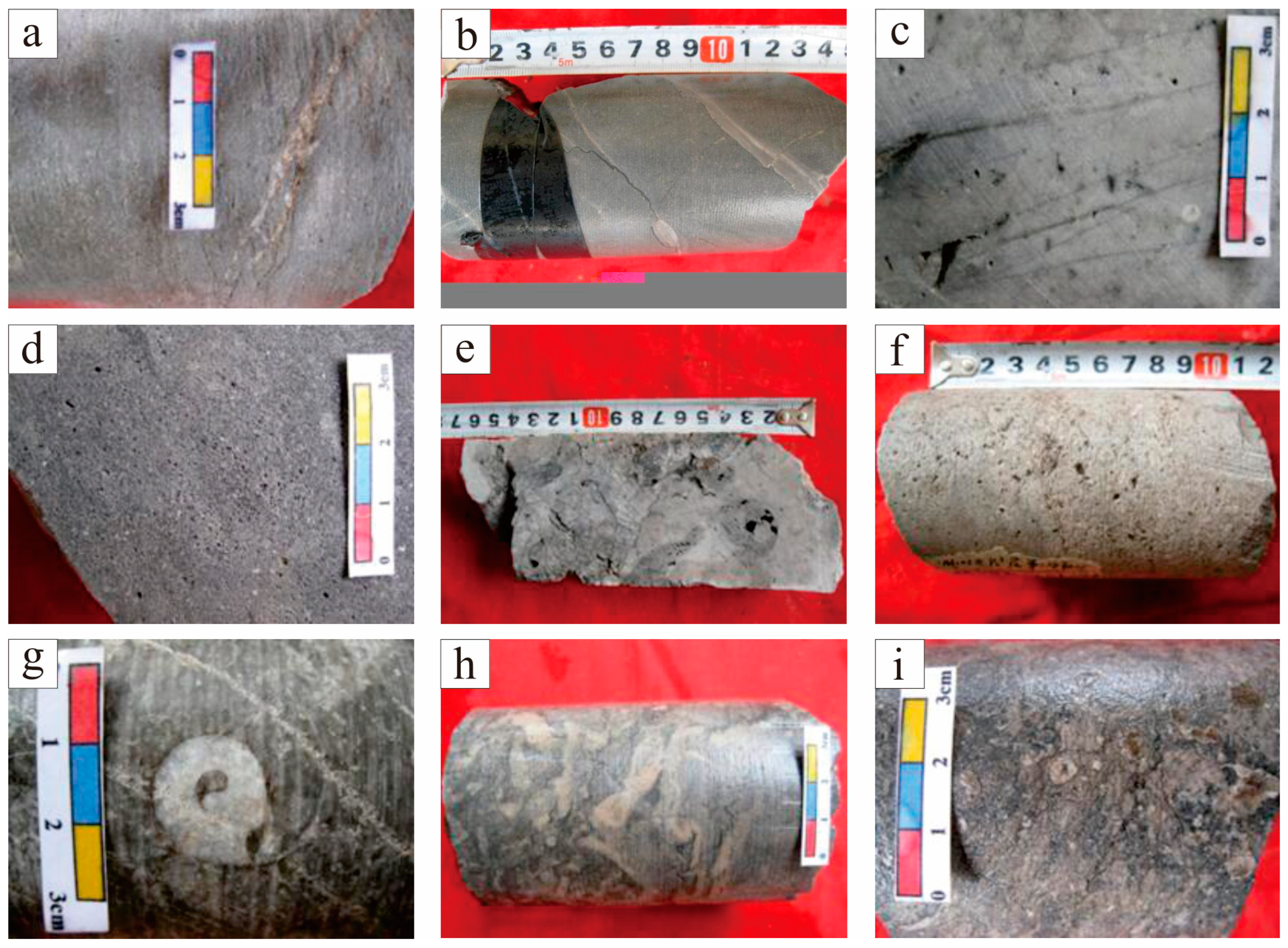 Applsci 15 02128 g008