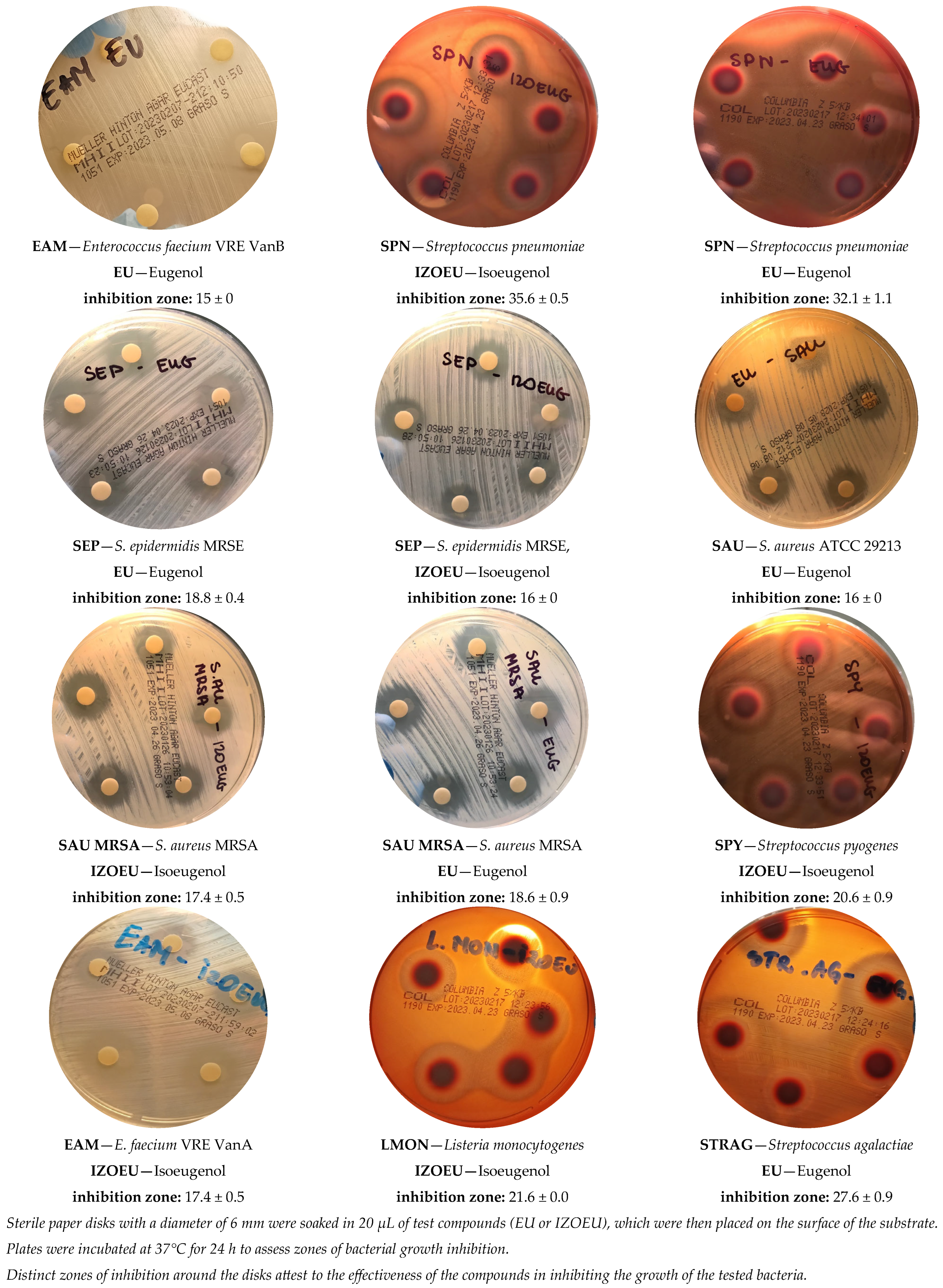 Applsci 15 02129 g002