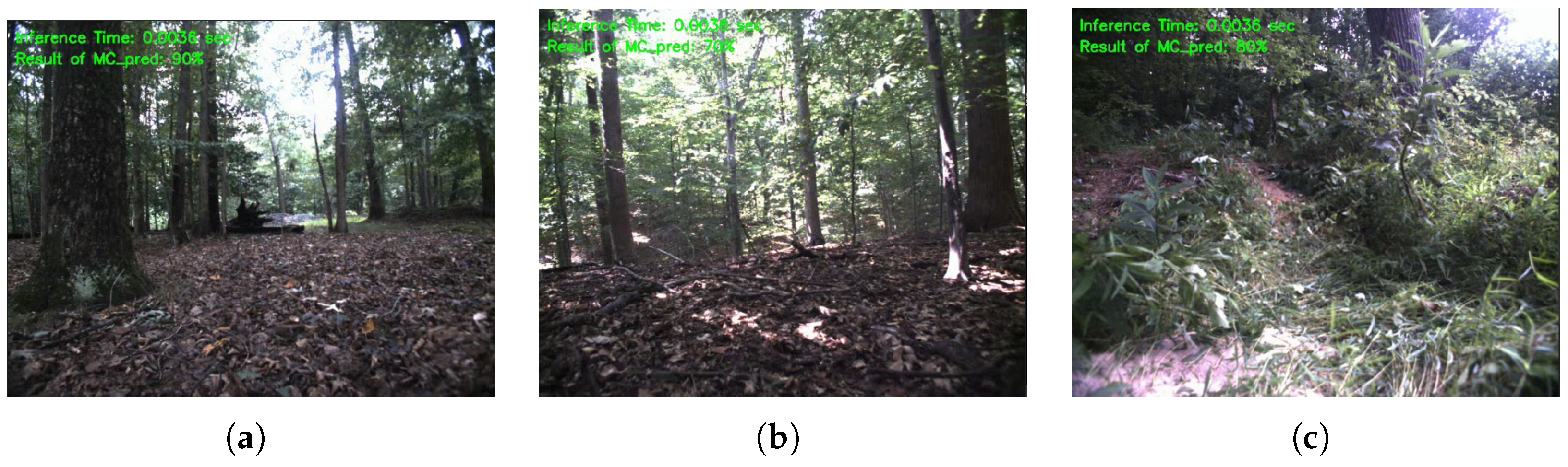 Applsci 15 02130 g0a3