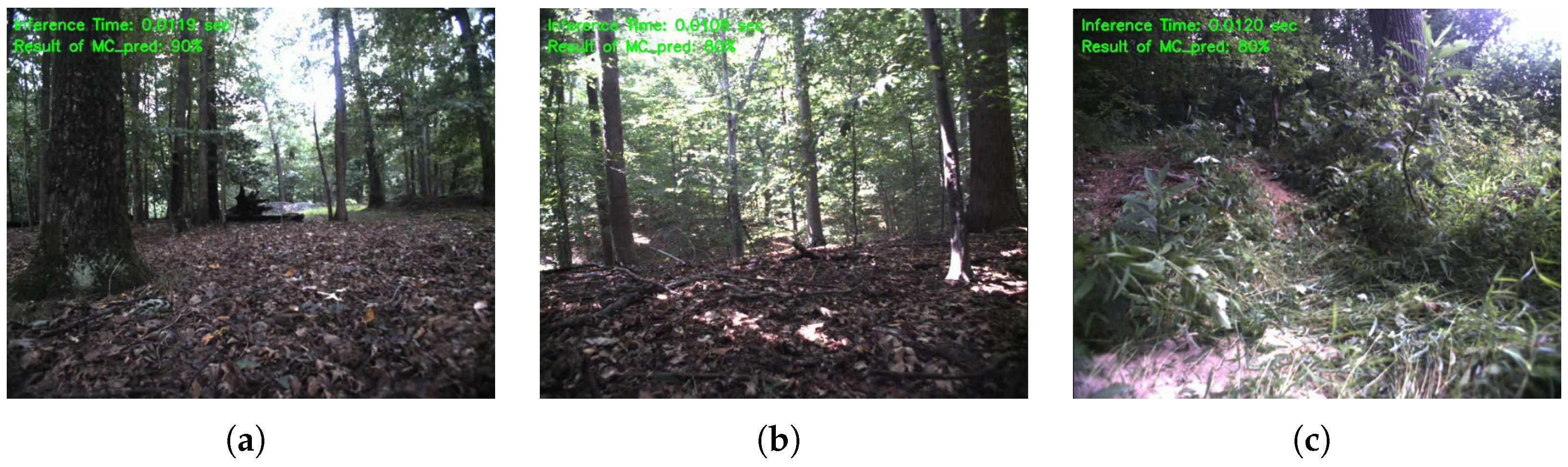 Applsci 15 02130 g0a4