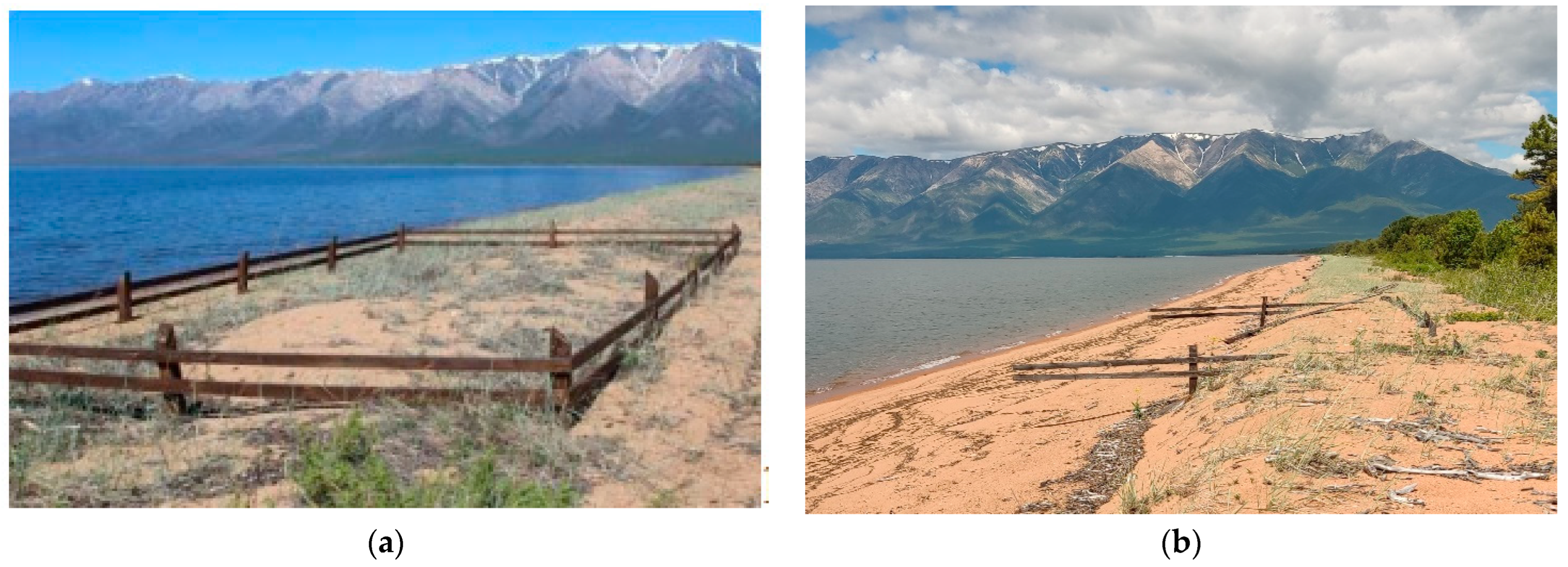 Applsci 15 02131 g005