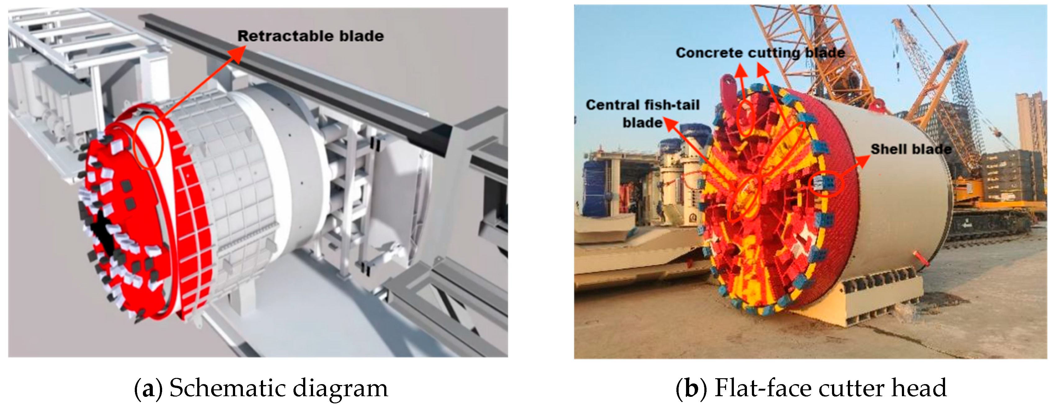 Applsci 15 02153 g001