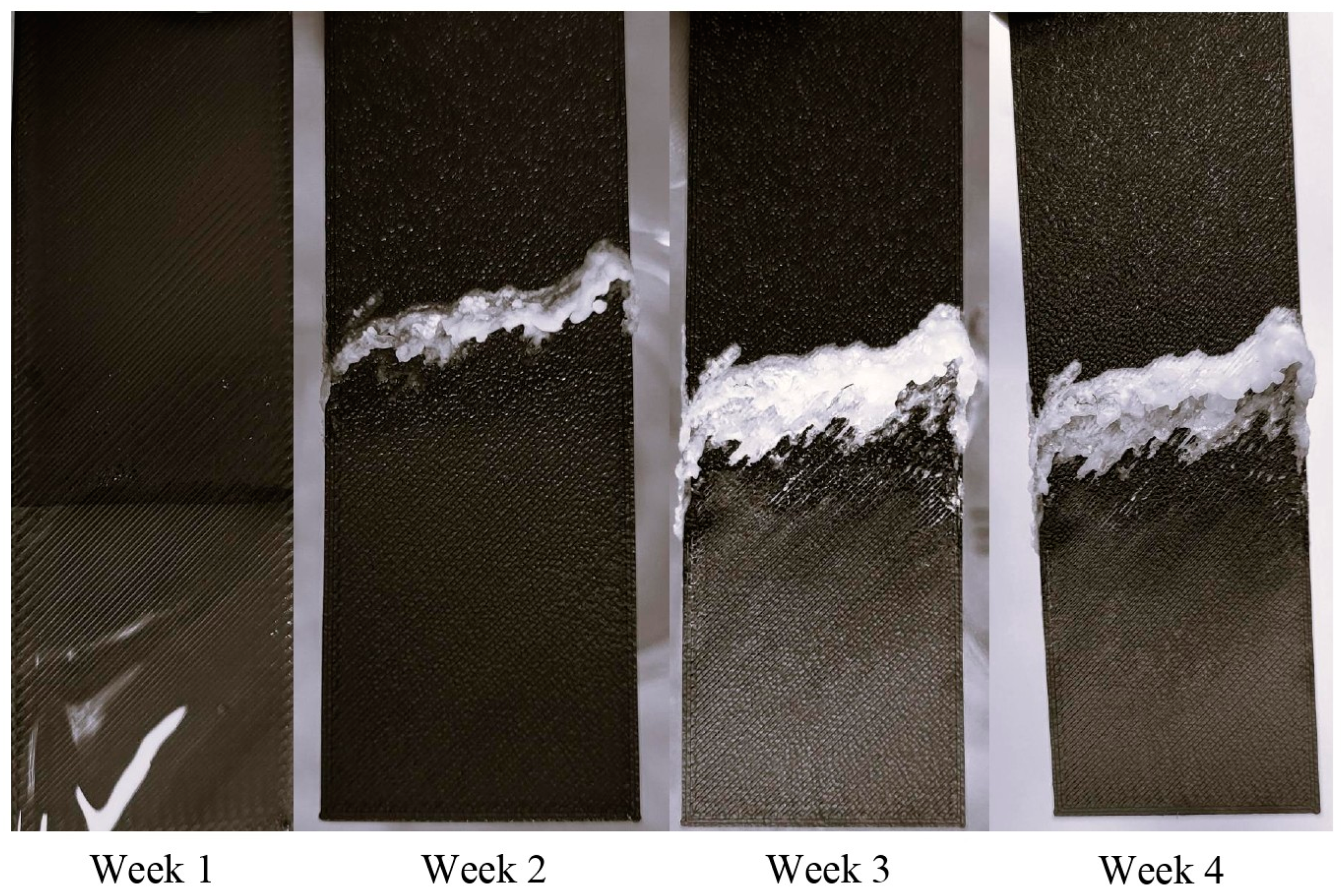 Applsci 15 02165 g016