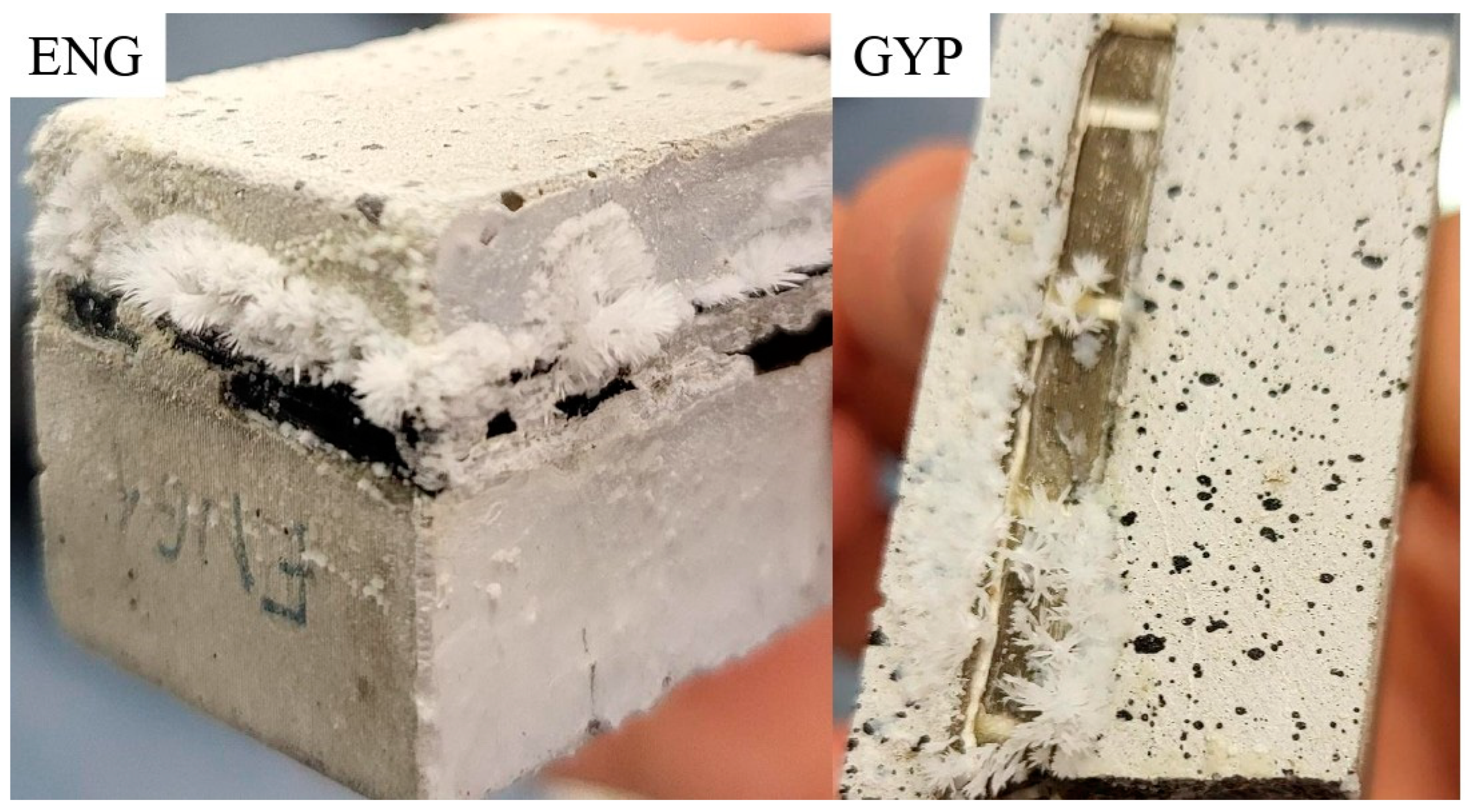 Applsci 15 02165 g017