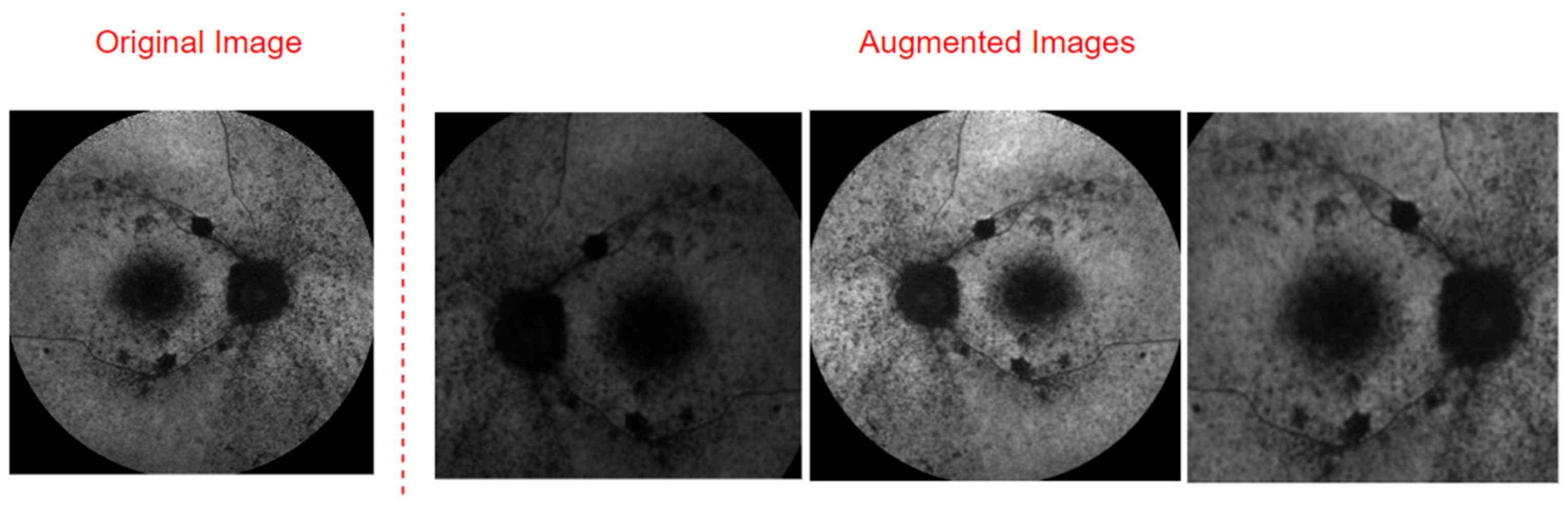 Applsci 15 02181 g002