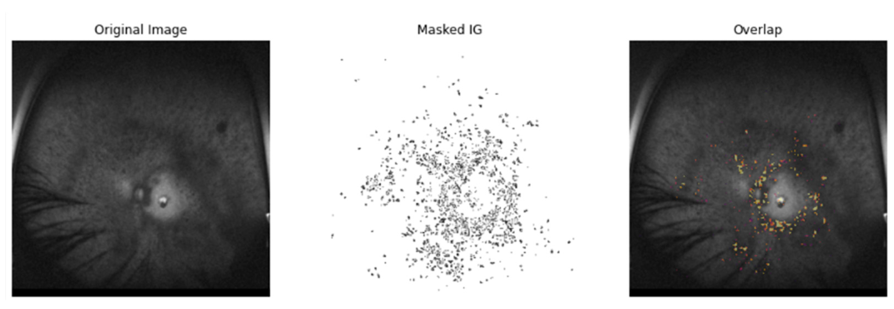 Applsci 15 02181 g006