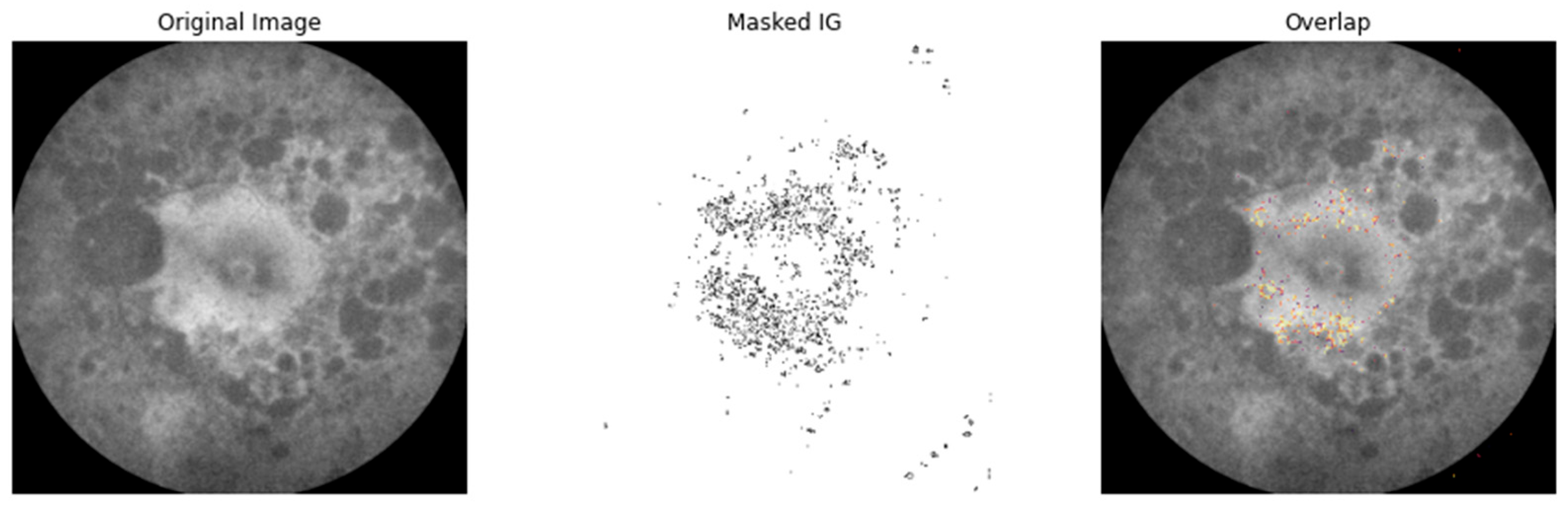 Applsci 15 02181 g007