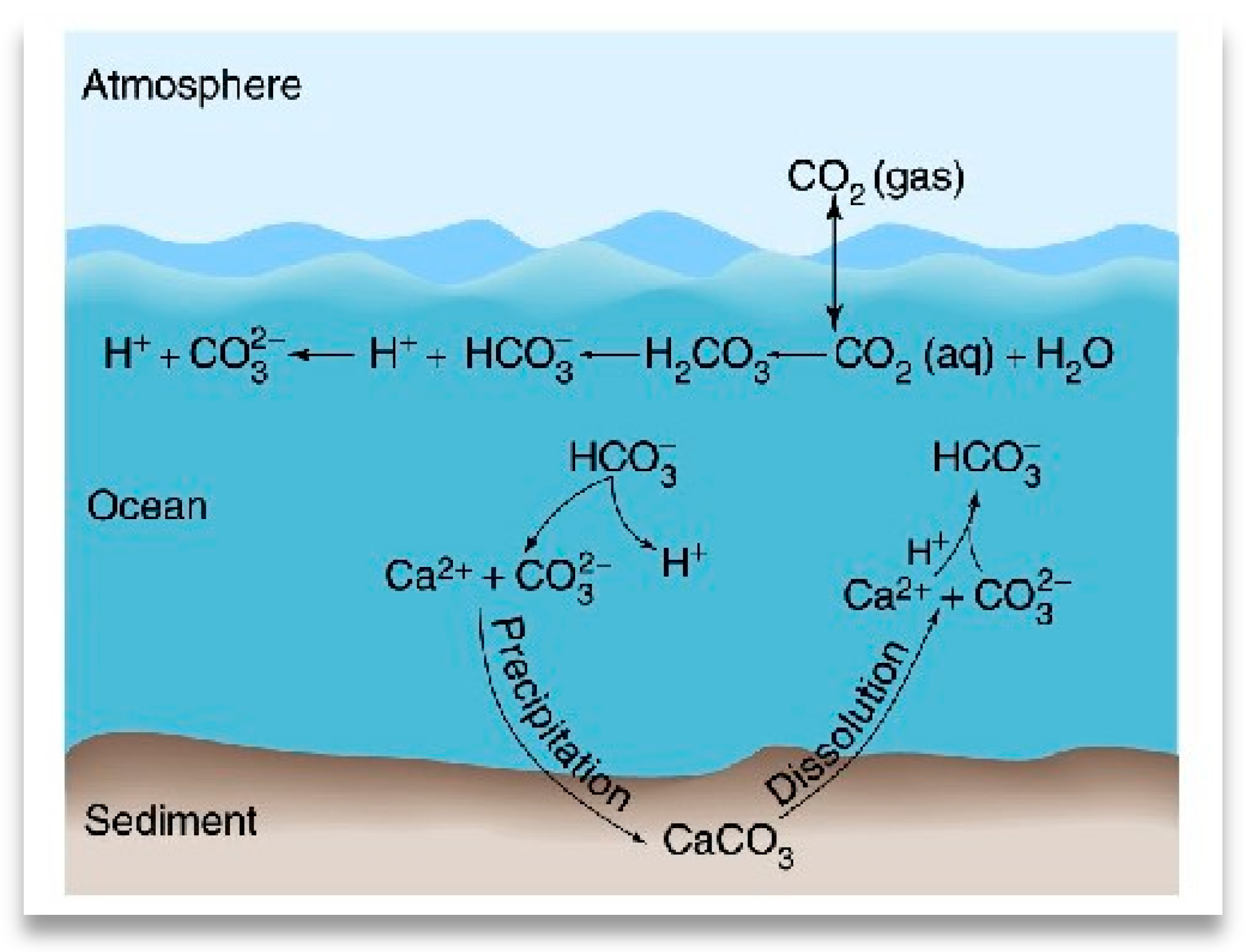 Applsci 15 02183 g002