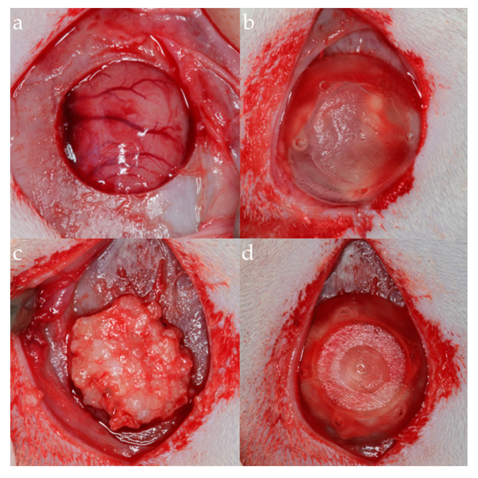 Applsci 15 02184 g003