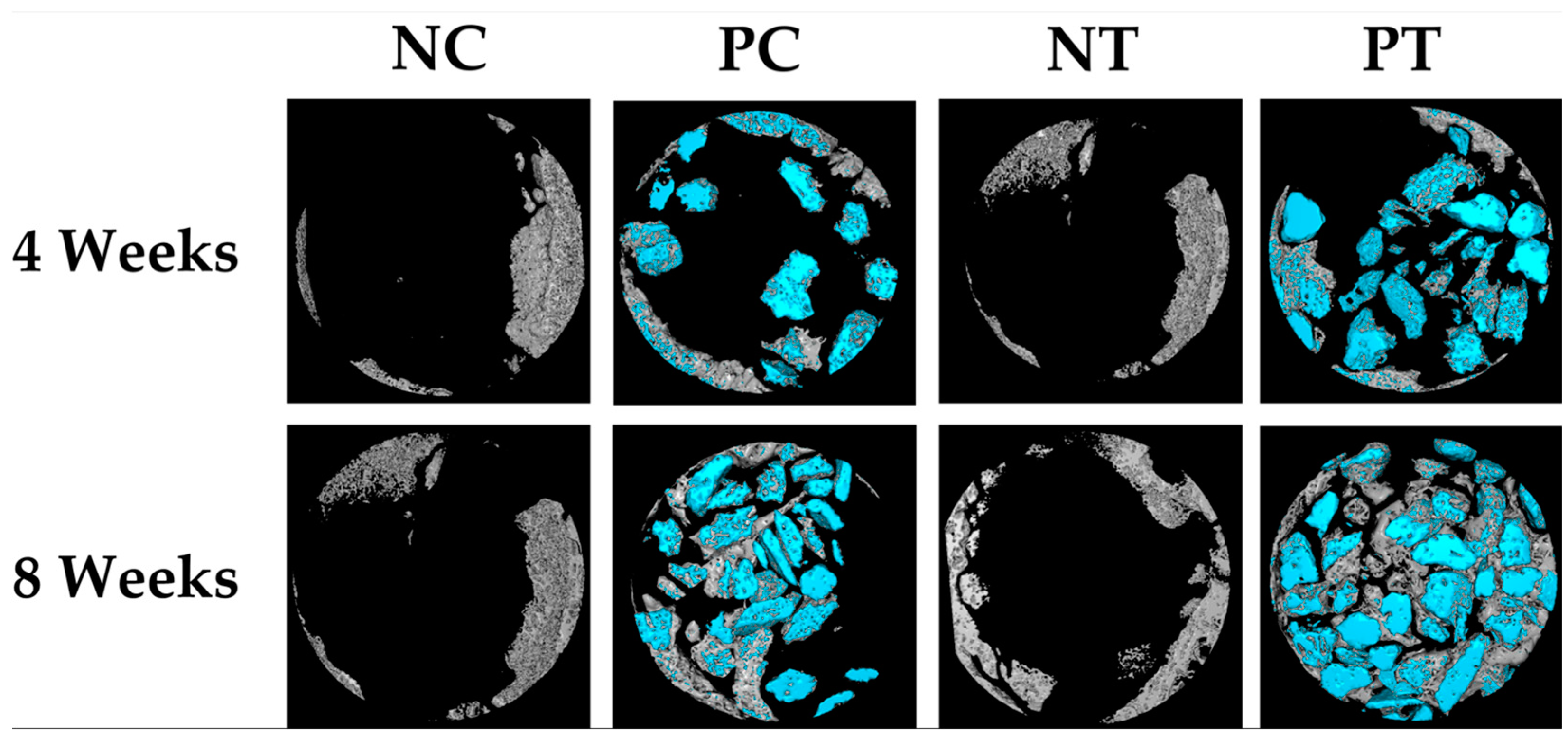 Applsci 15 02184 g005
