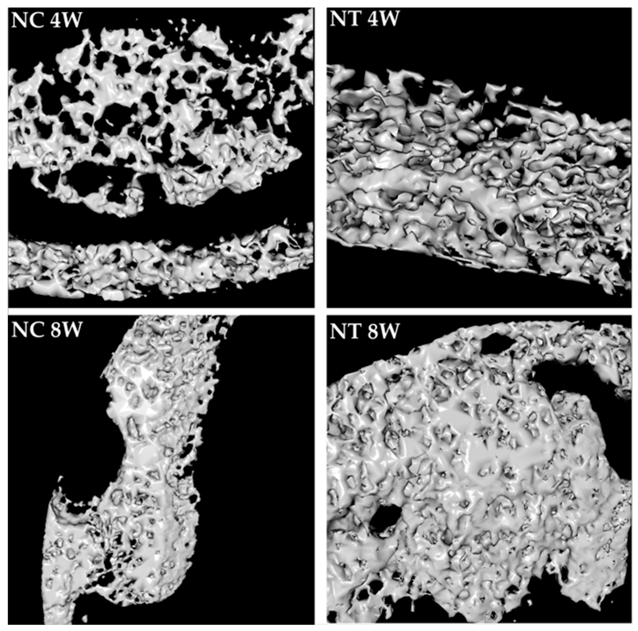 Applsci 15 02184 g007