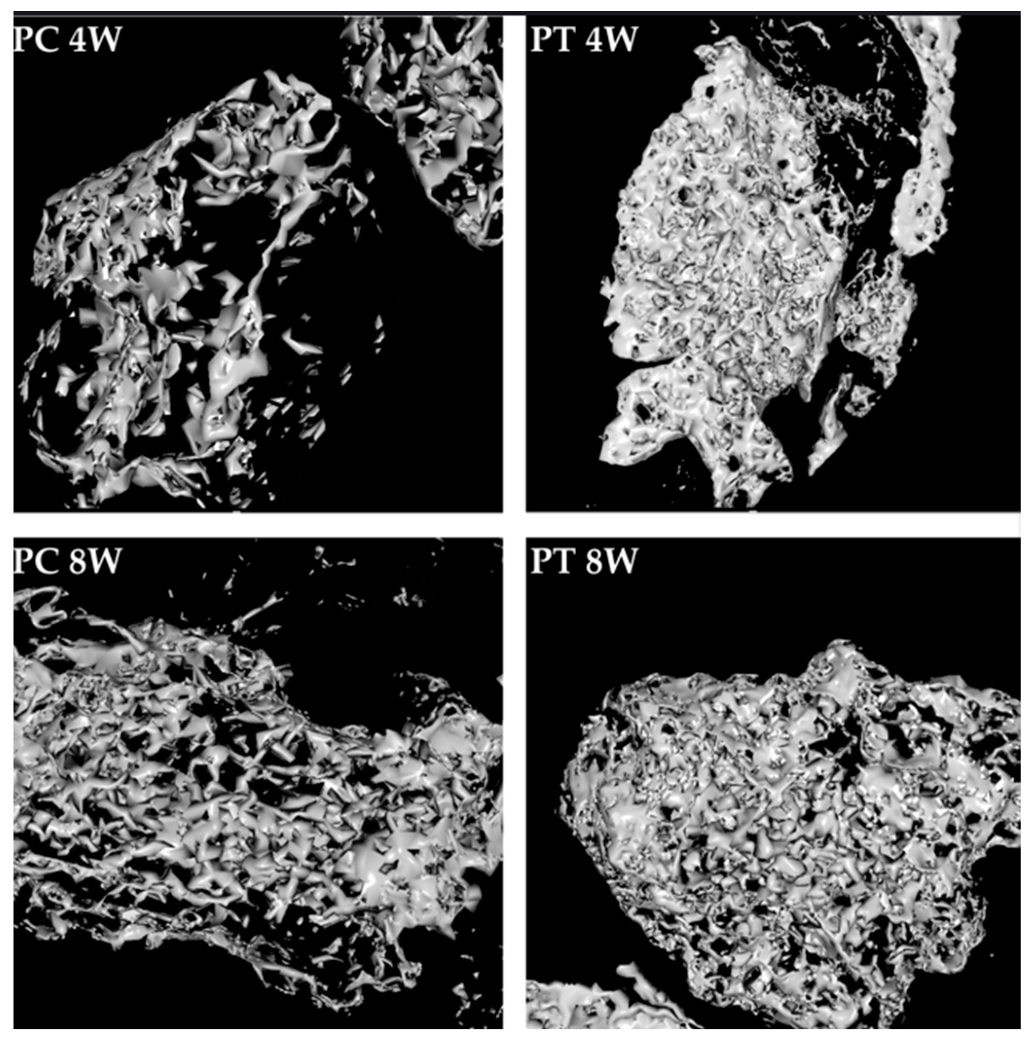 Applsci 15 02184 g008
