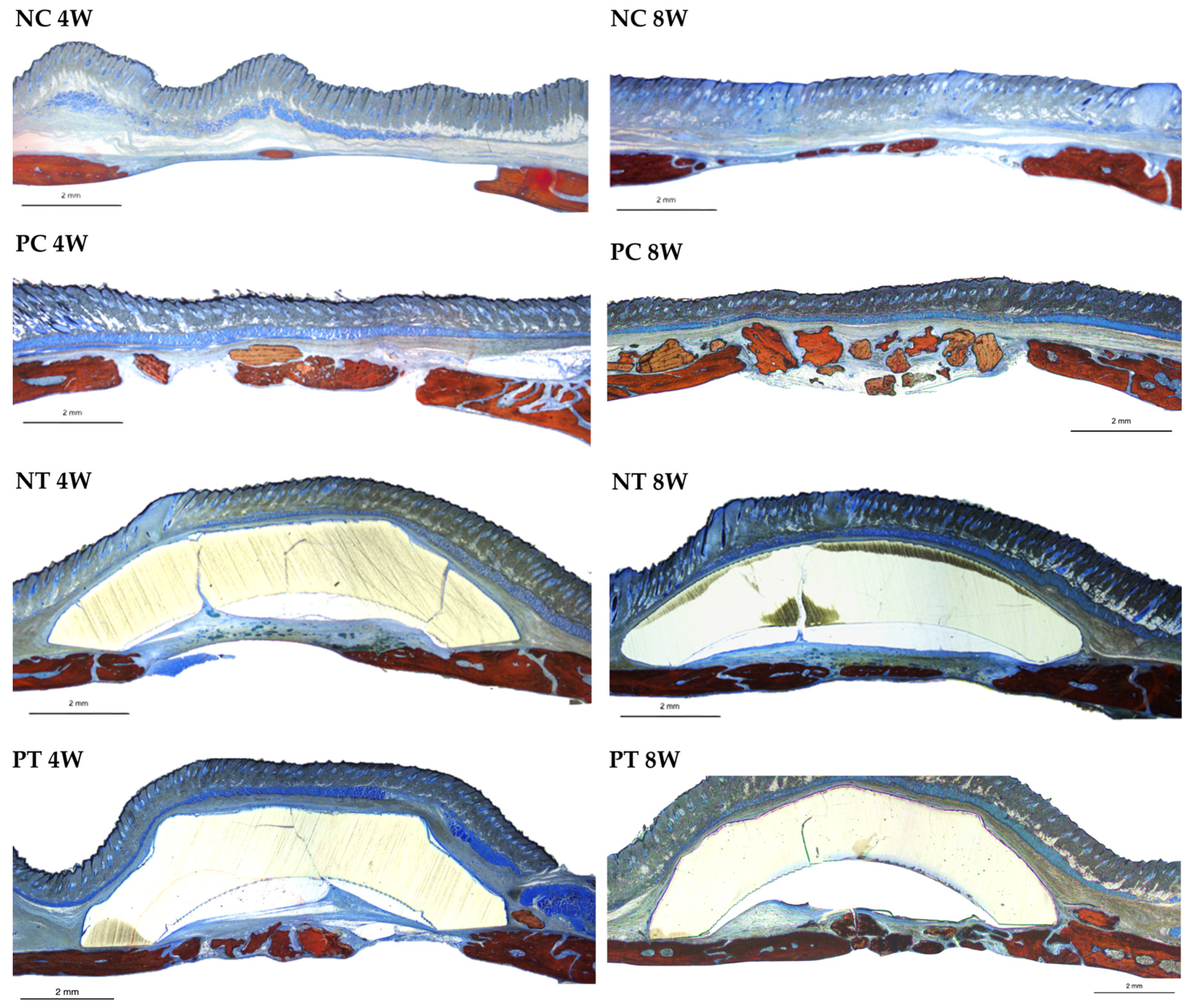 Applsci 15 02184 g009