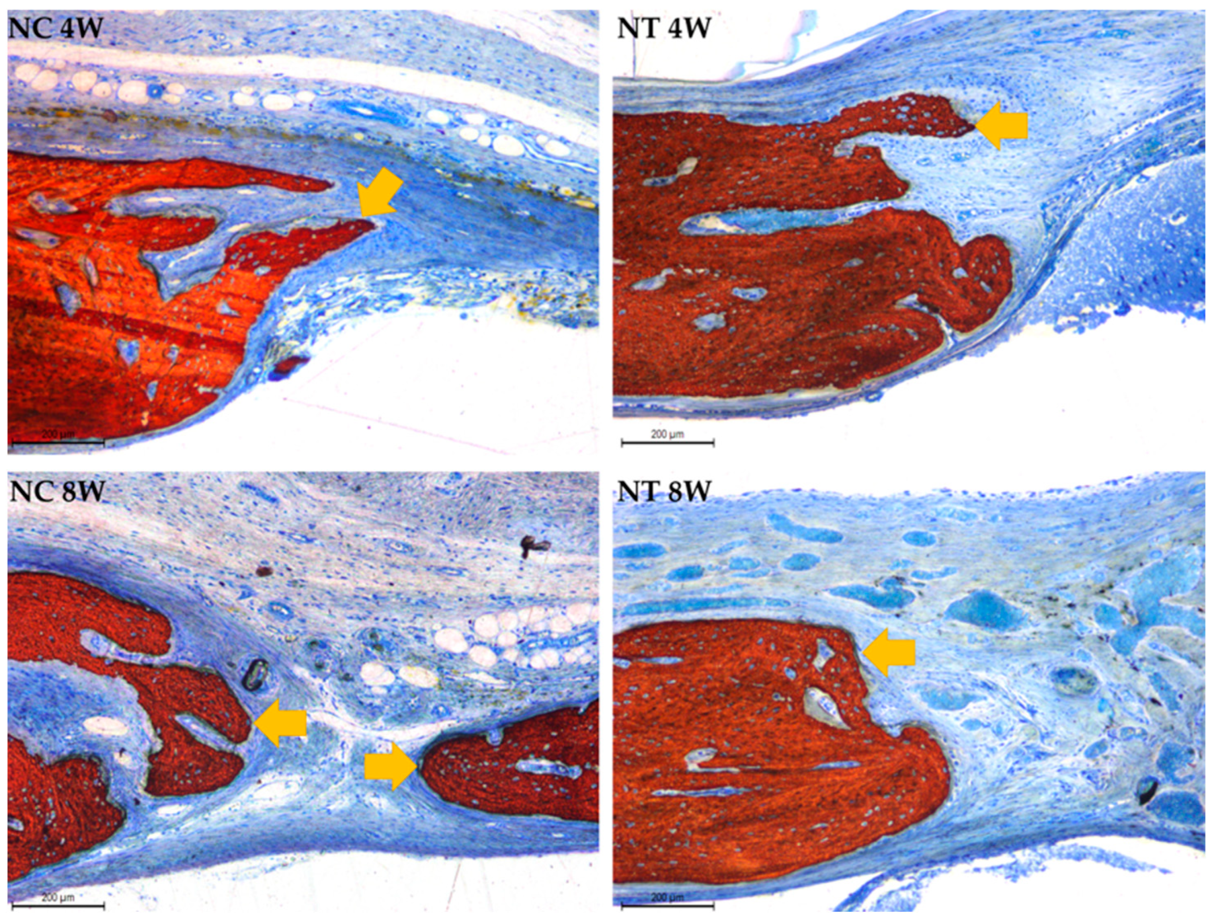 Applsci 15 02184 g010