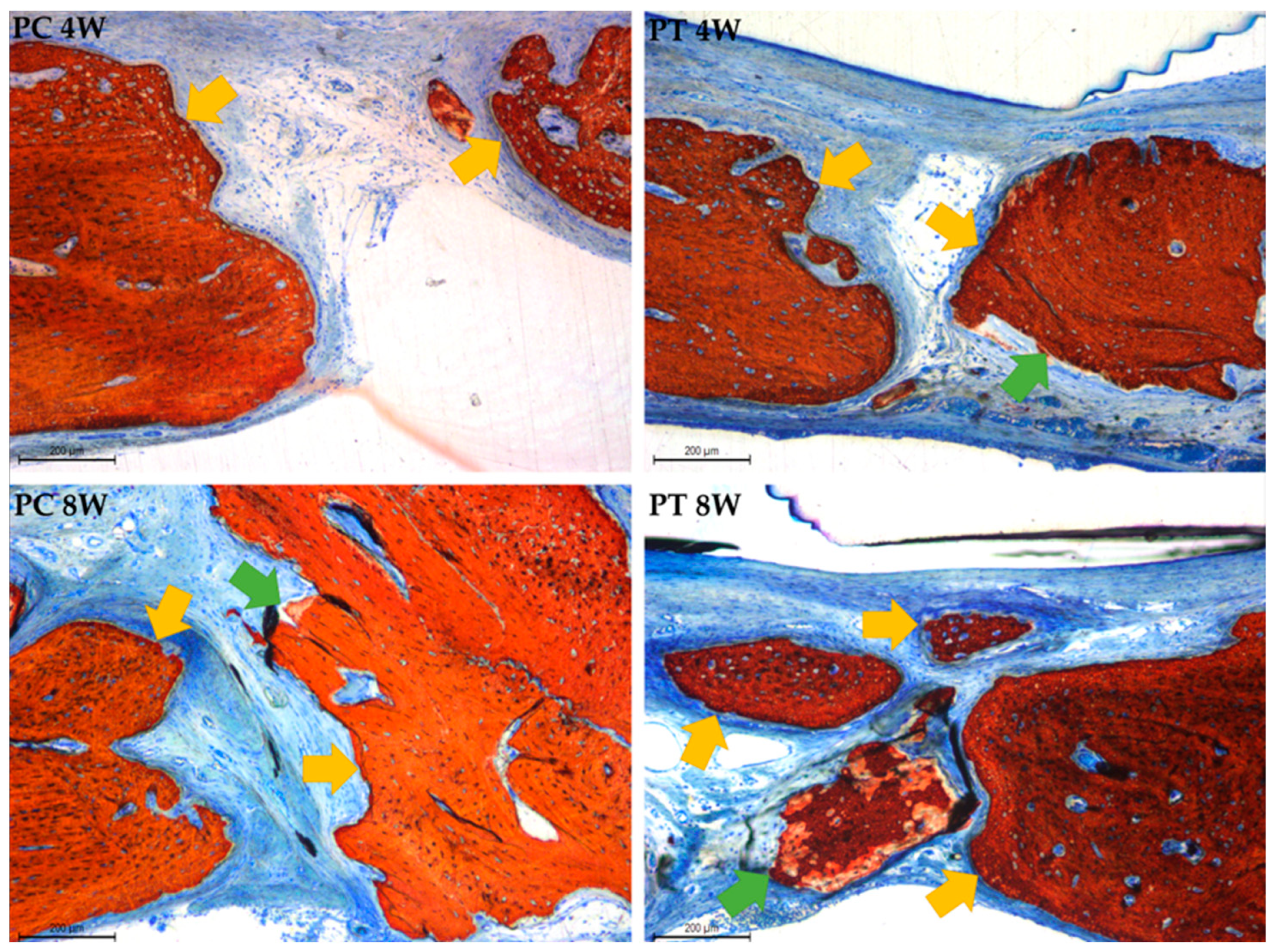 Applsci 15 02184 g011